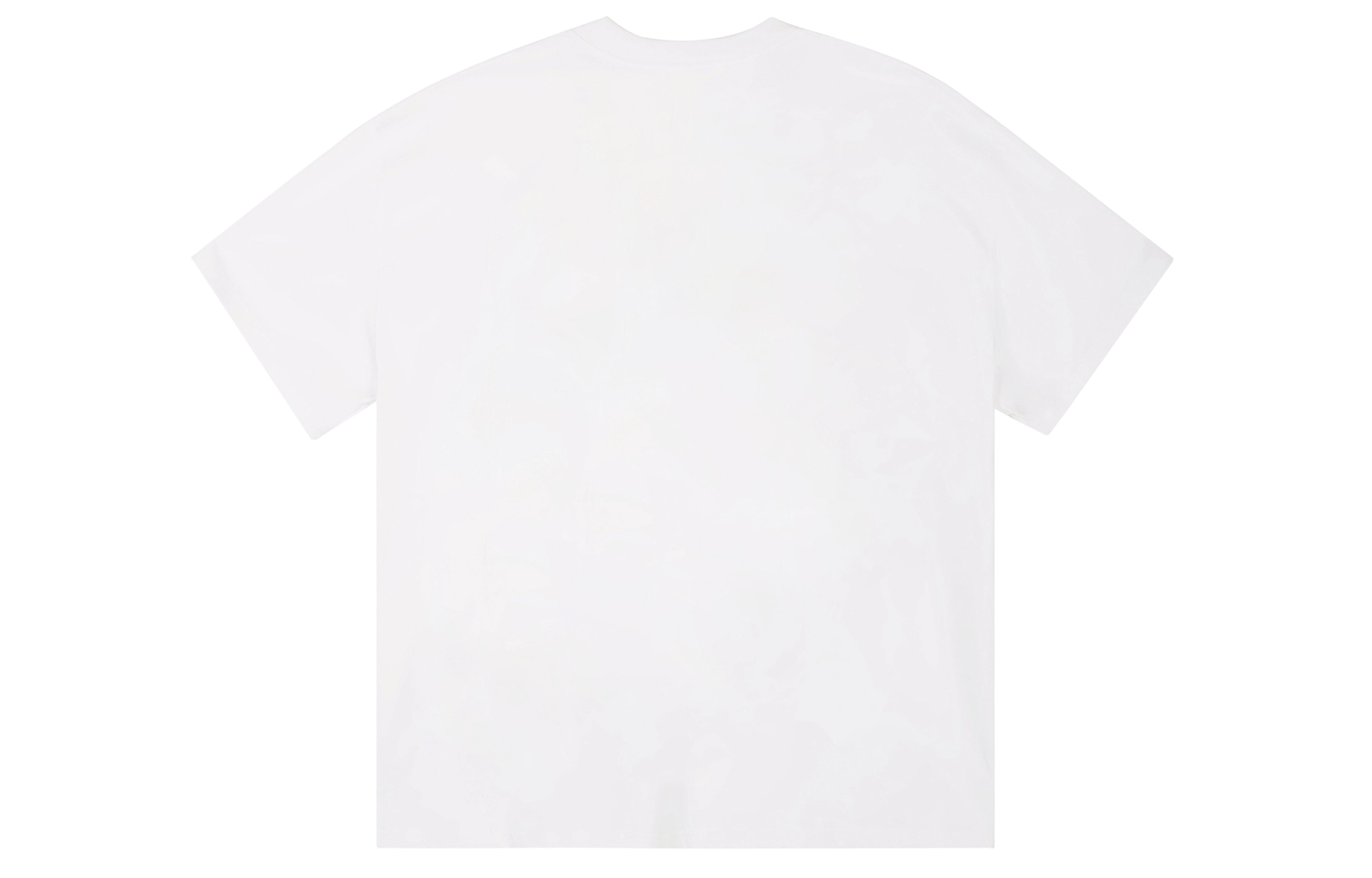 ICONS Lab ICS T