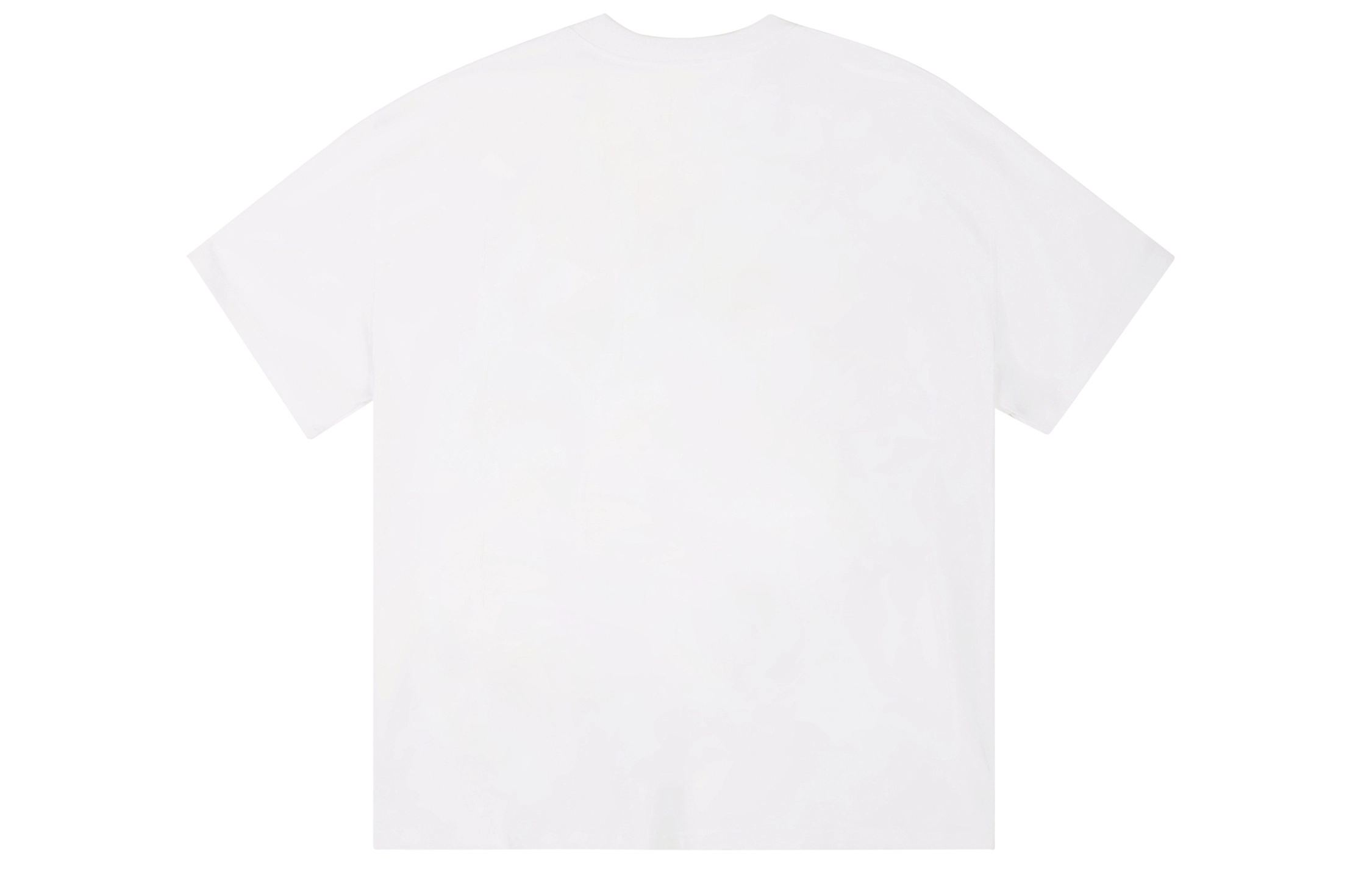 ICONS Lab ICS T