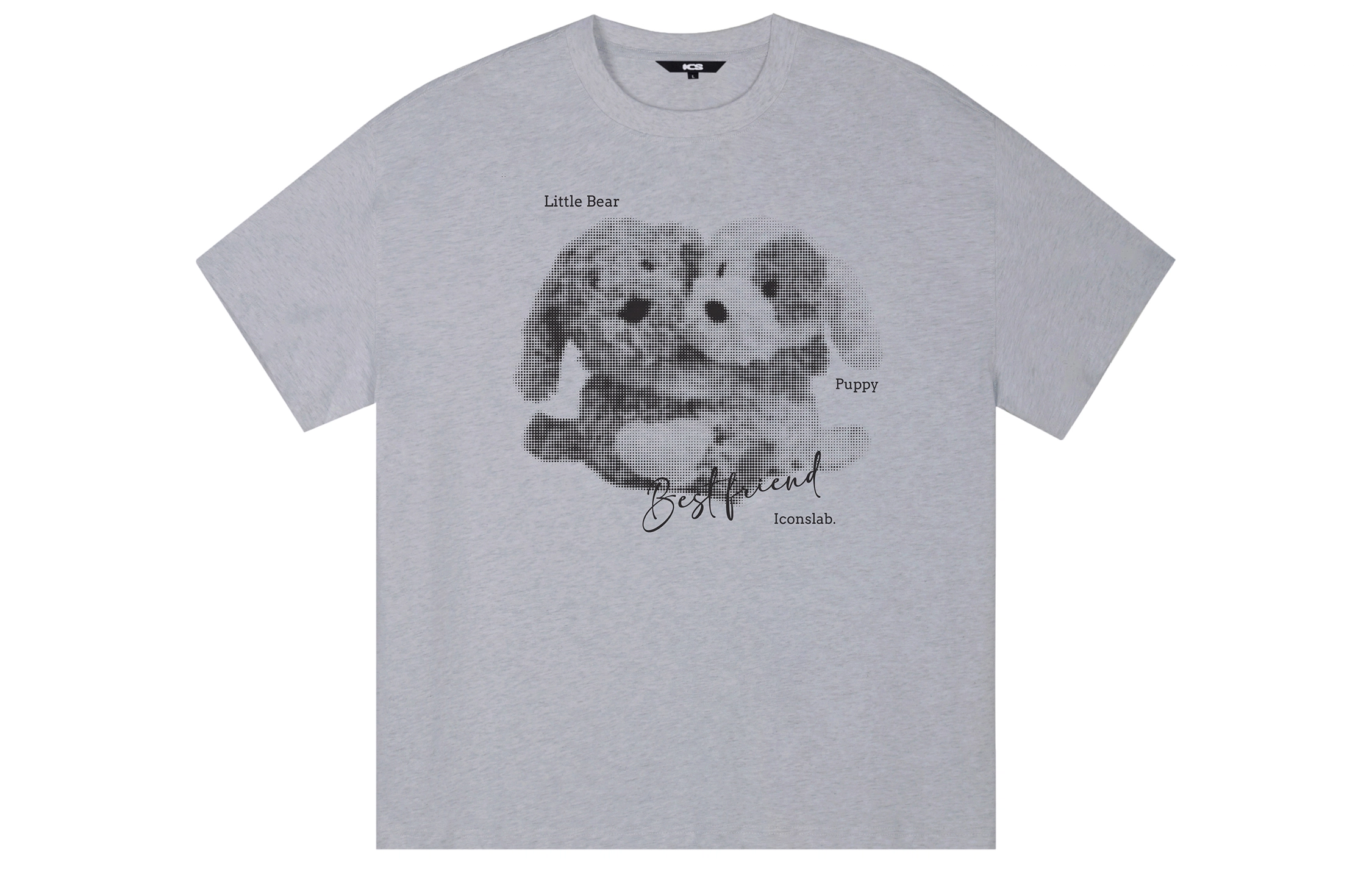 ICONS Lab ICS T