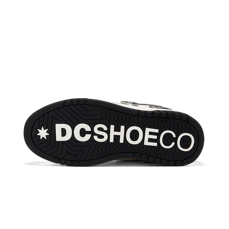 DC Shoes CAMPUS CAS