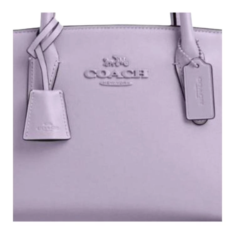 COACH ANDREA CARRYALL 22