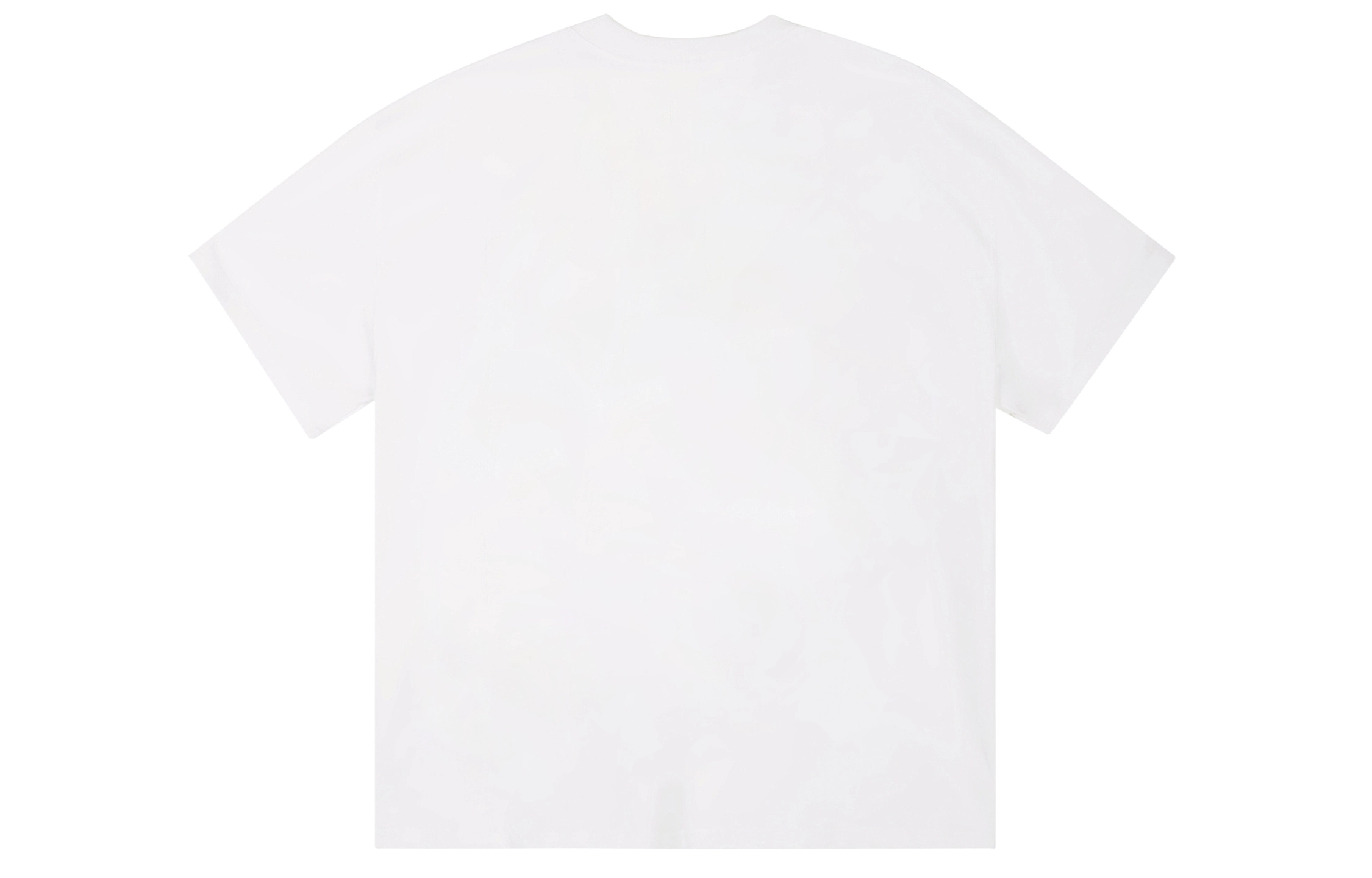 ICONS Lab ICS T