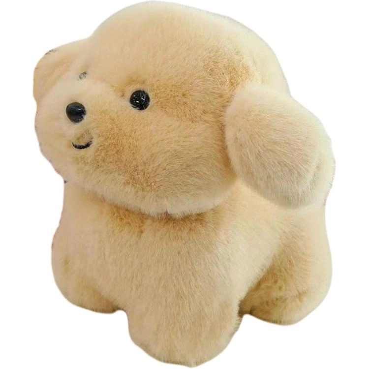20cm30cm