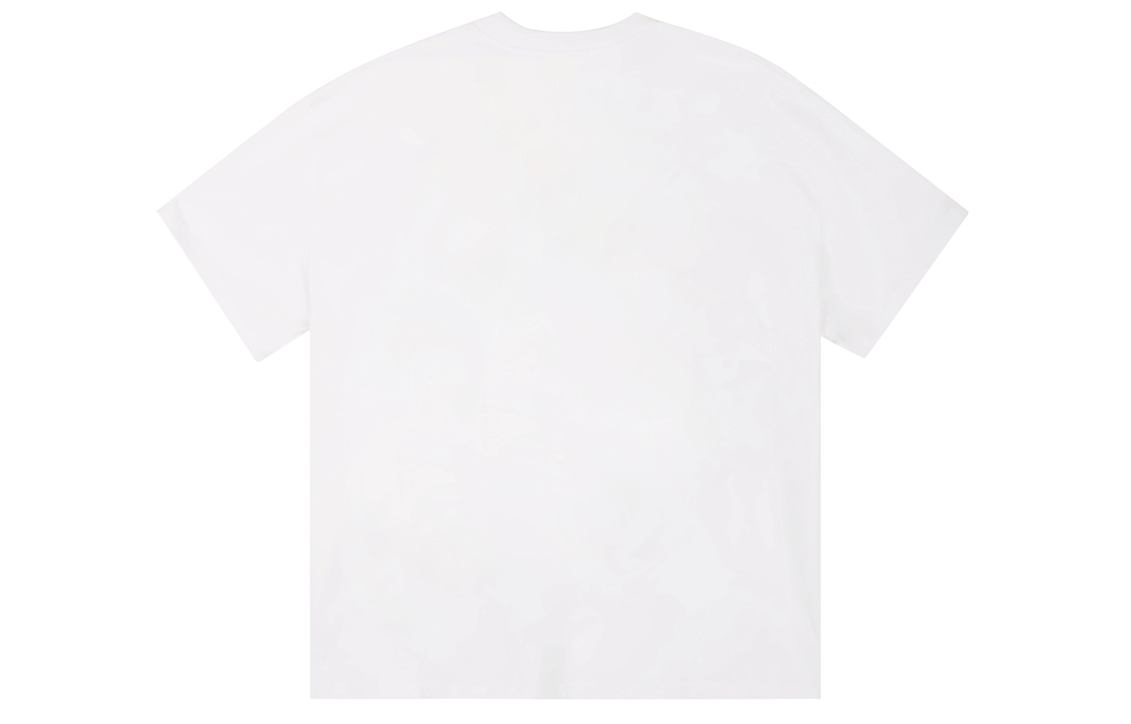 ICONS Lab ICS T