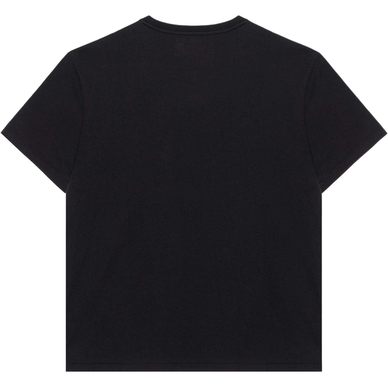 Polo Ralph Lauren SS23 LogoT