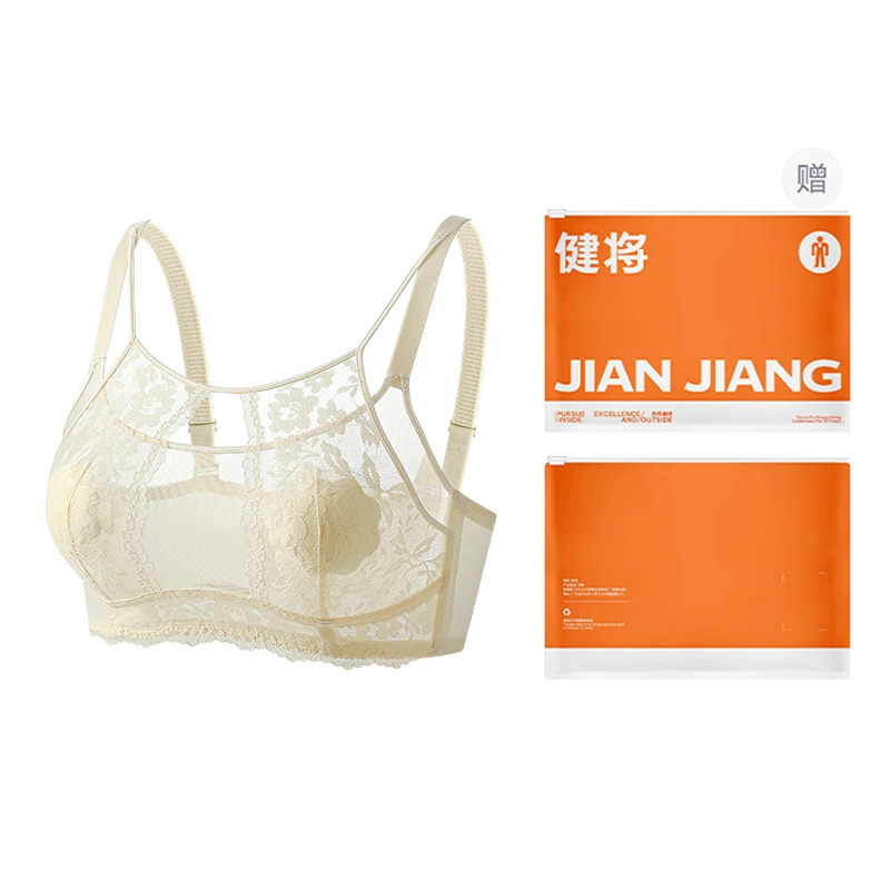 健将 轻奢法式性感纯欲蕾丝网纱内衣超薄大胸显小美胸胸罩文胸 女款 礼袋装