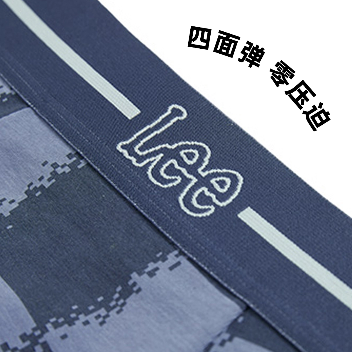 Lee 4