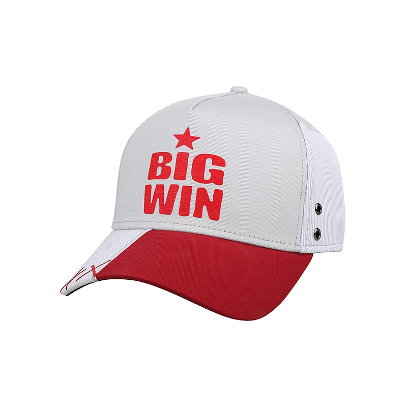SWOFCARE BIGWIN