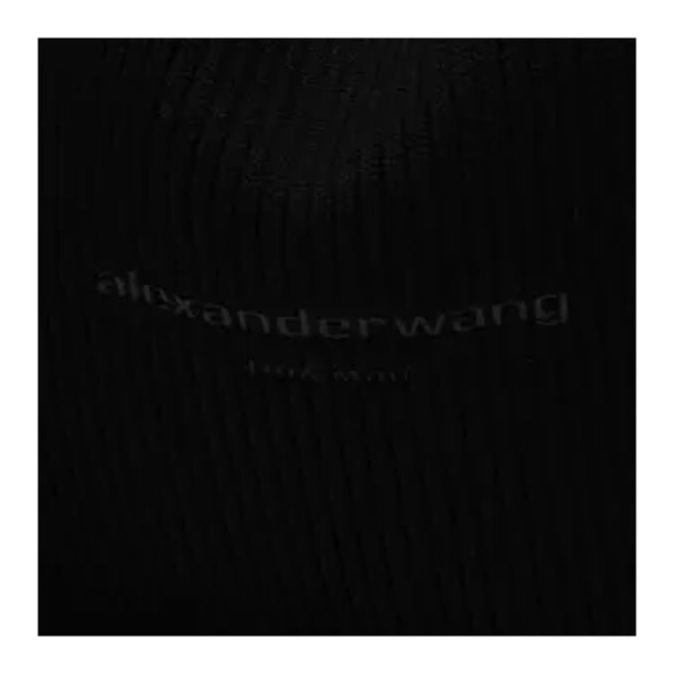 alexander wang