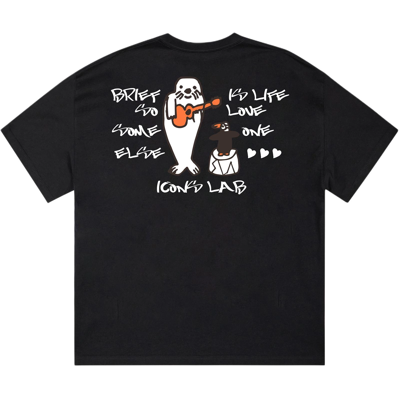 ICONS Lab ICS T