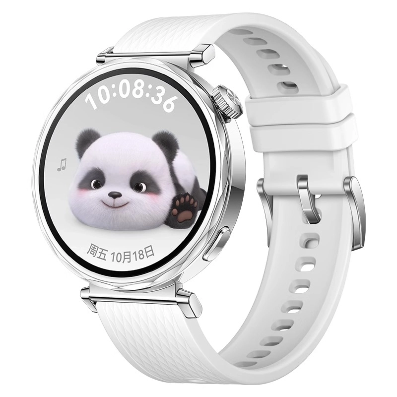 watchbond 204mm GT5watchgt5proGT418mm