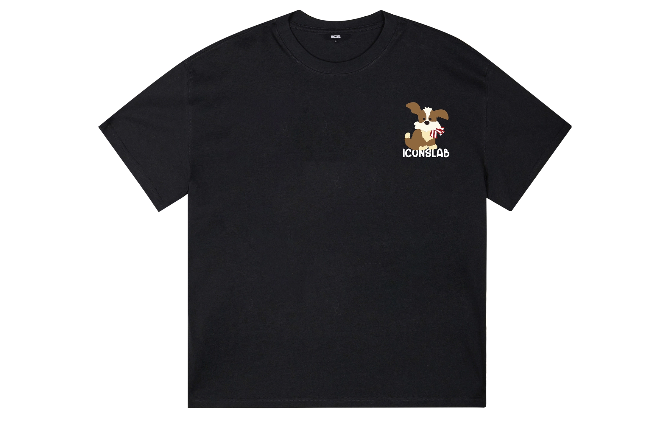 ICONS Lab ICS T