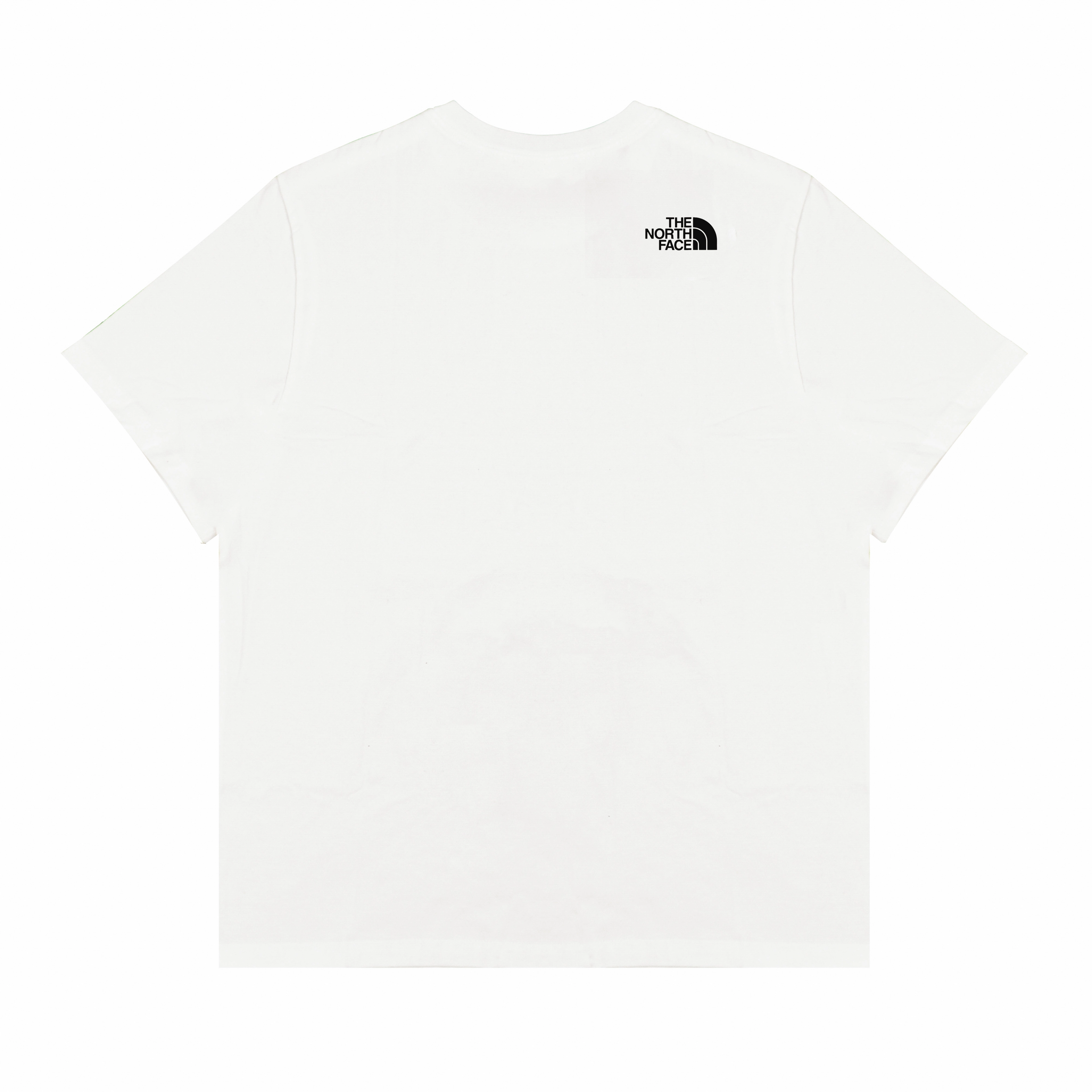 THE NORTH FACE logoT