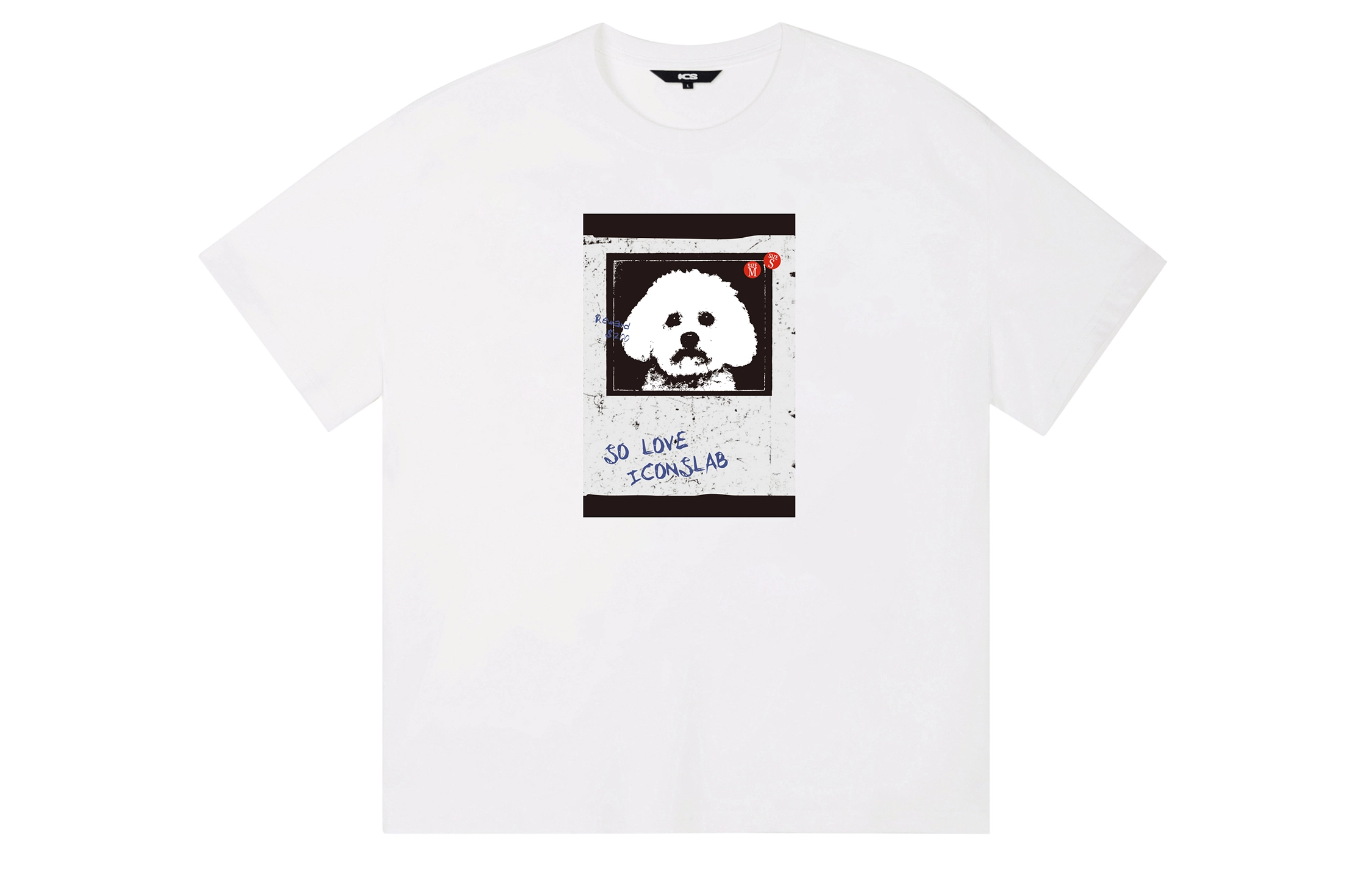 ICONS Lab ICS T