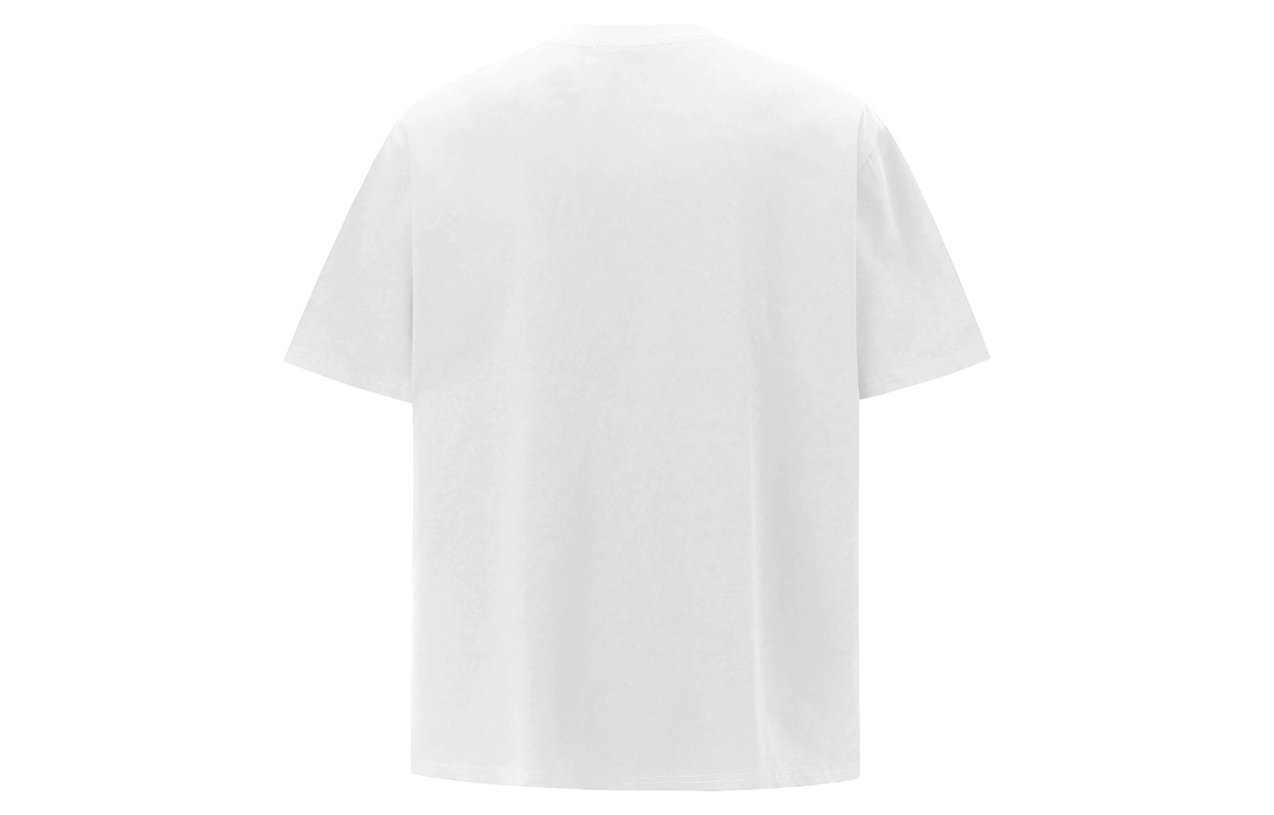 PAINT STAIN T