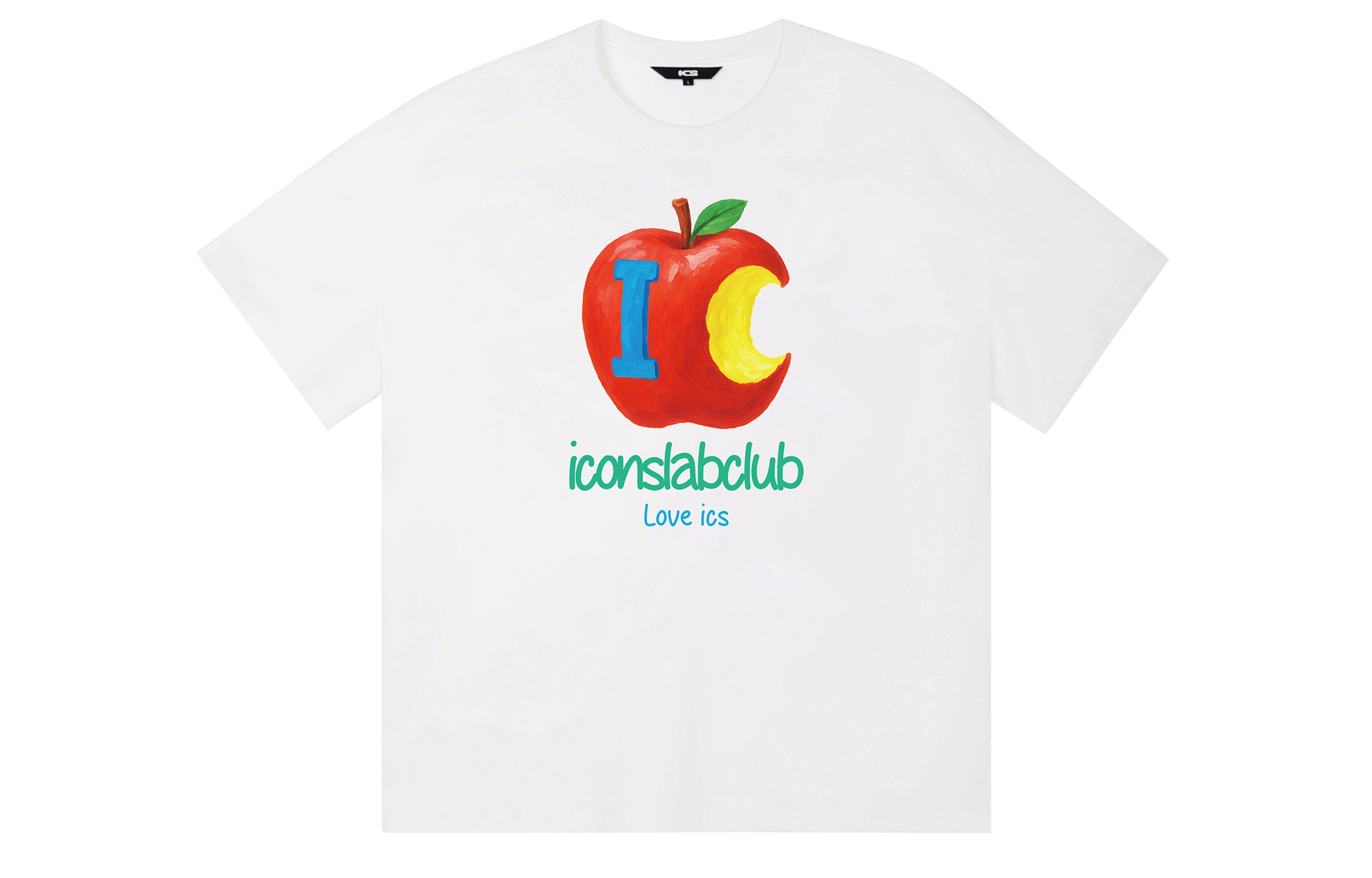 ICONS Lab ICS T