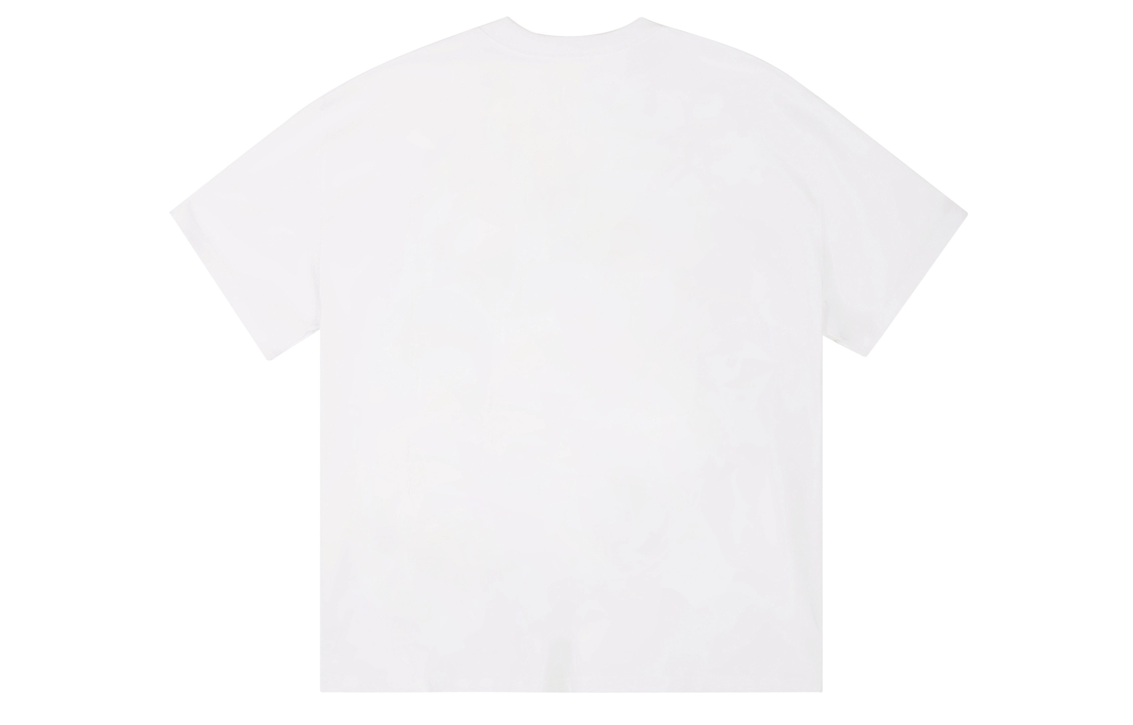ICONS Lab ICS T