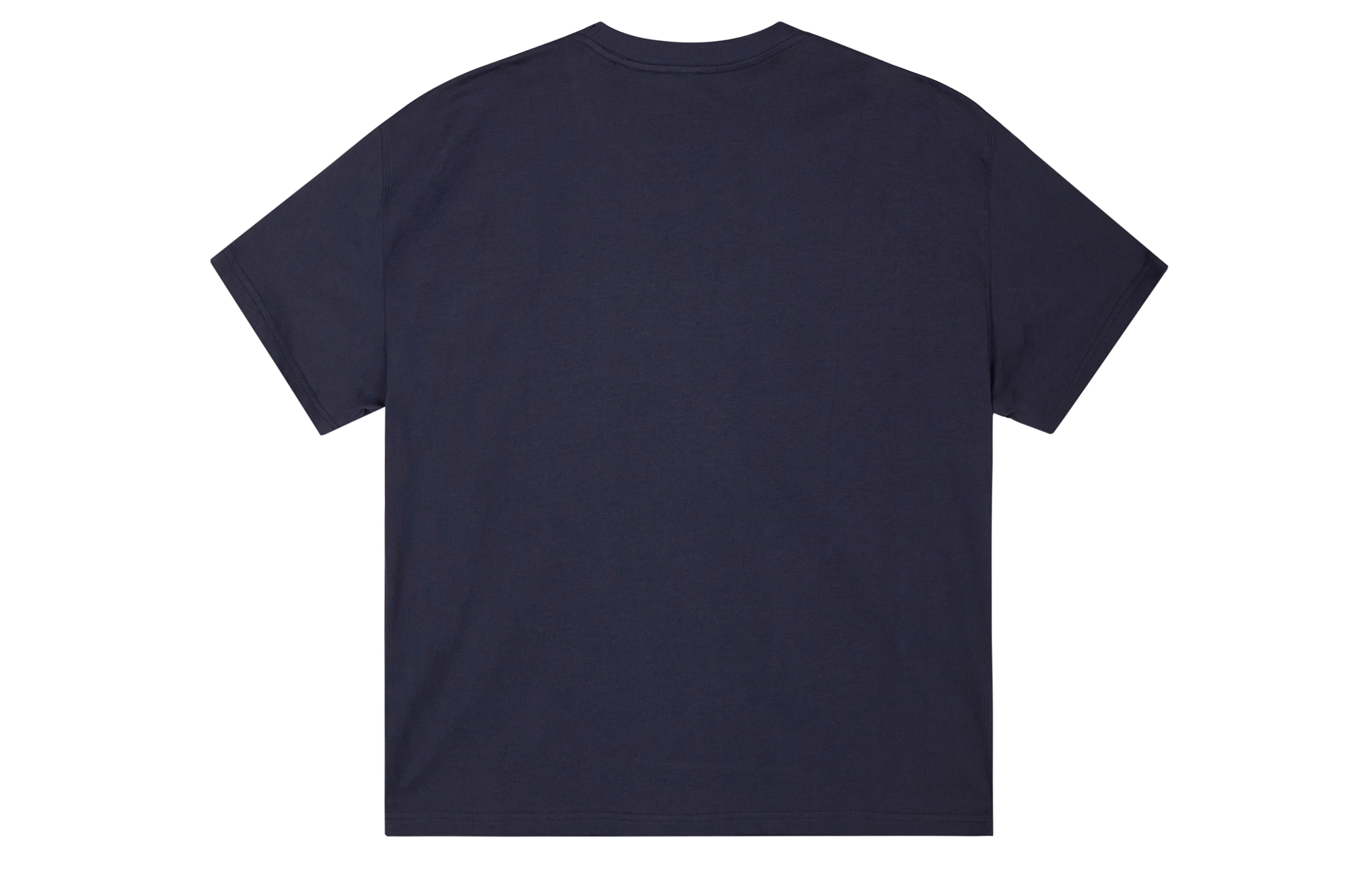ICONS Lab ICS T