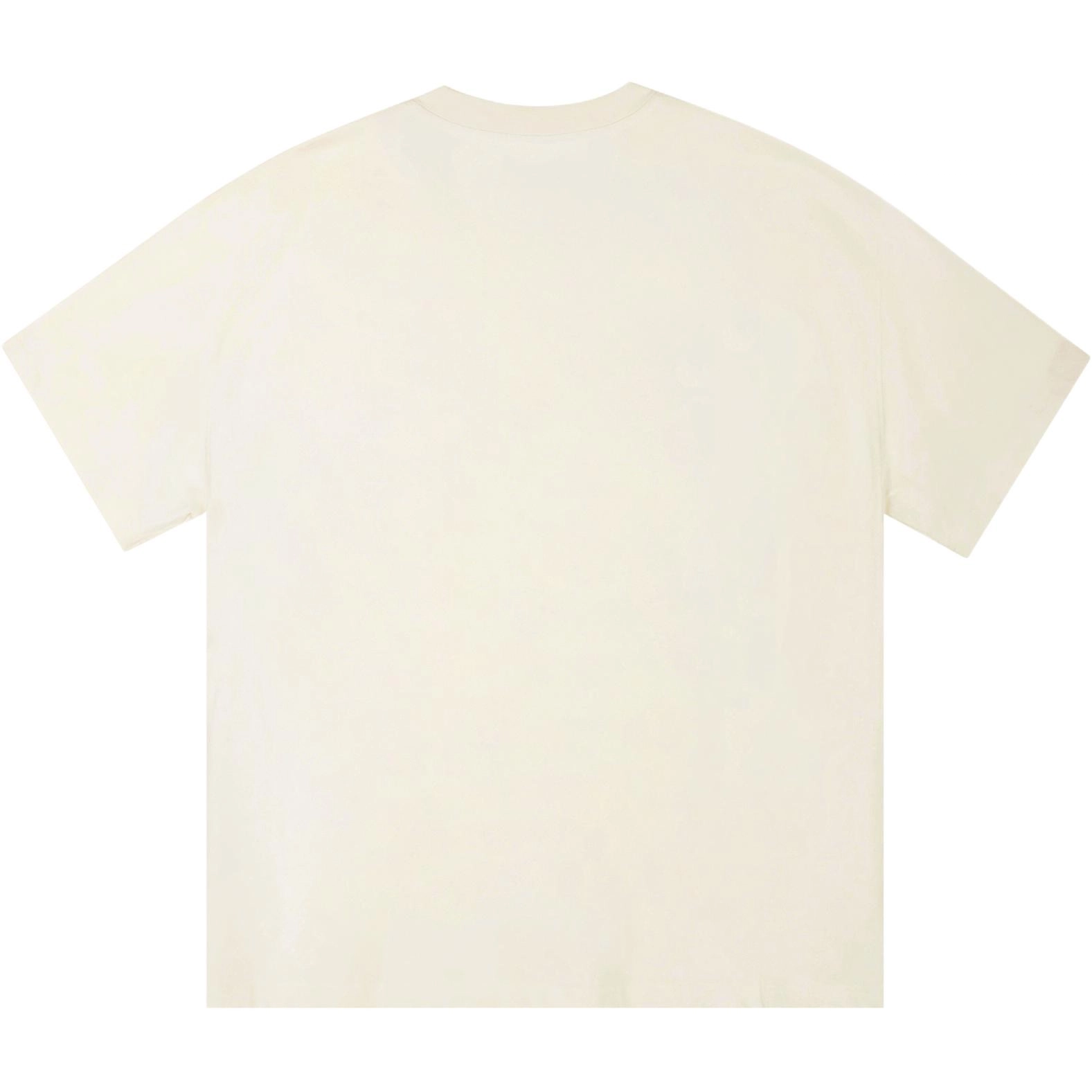 ICONS Lab ICS T