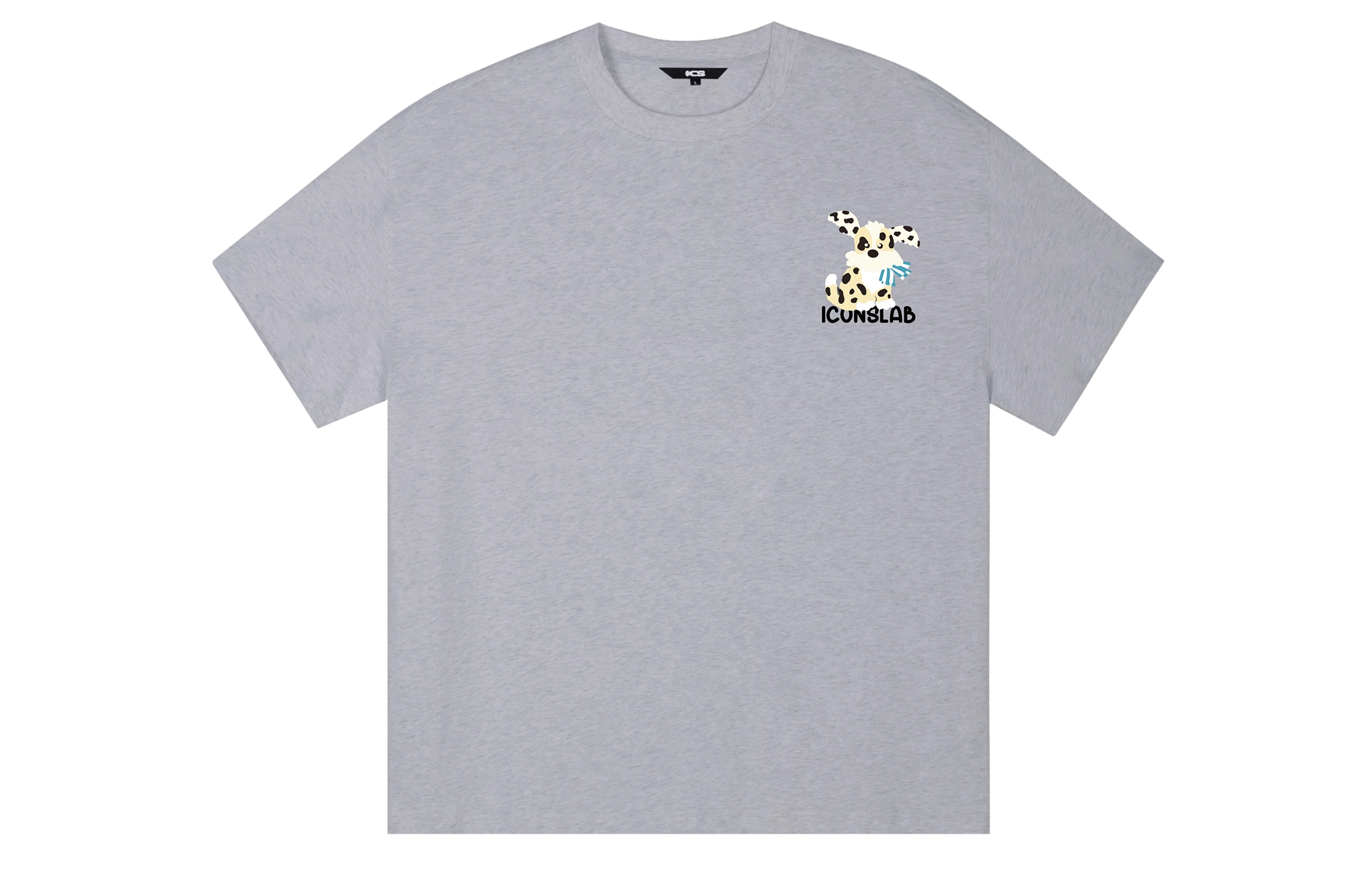 ICONS Lab ICS T