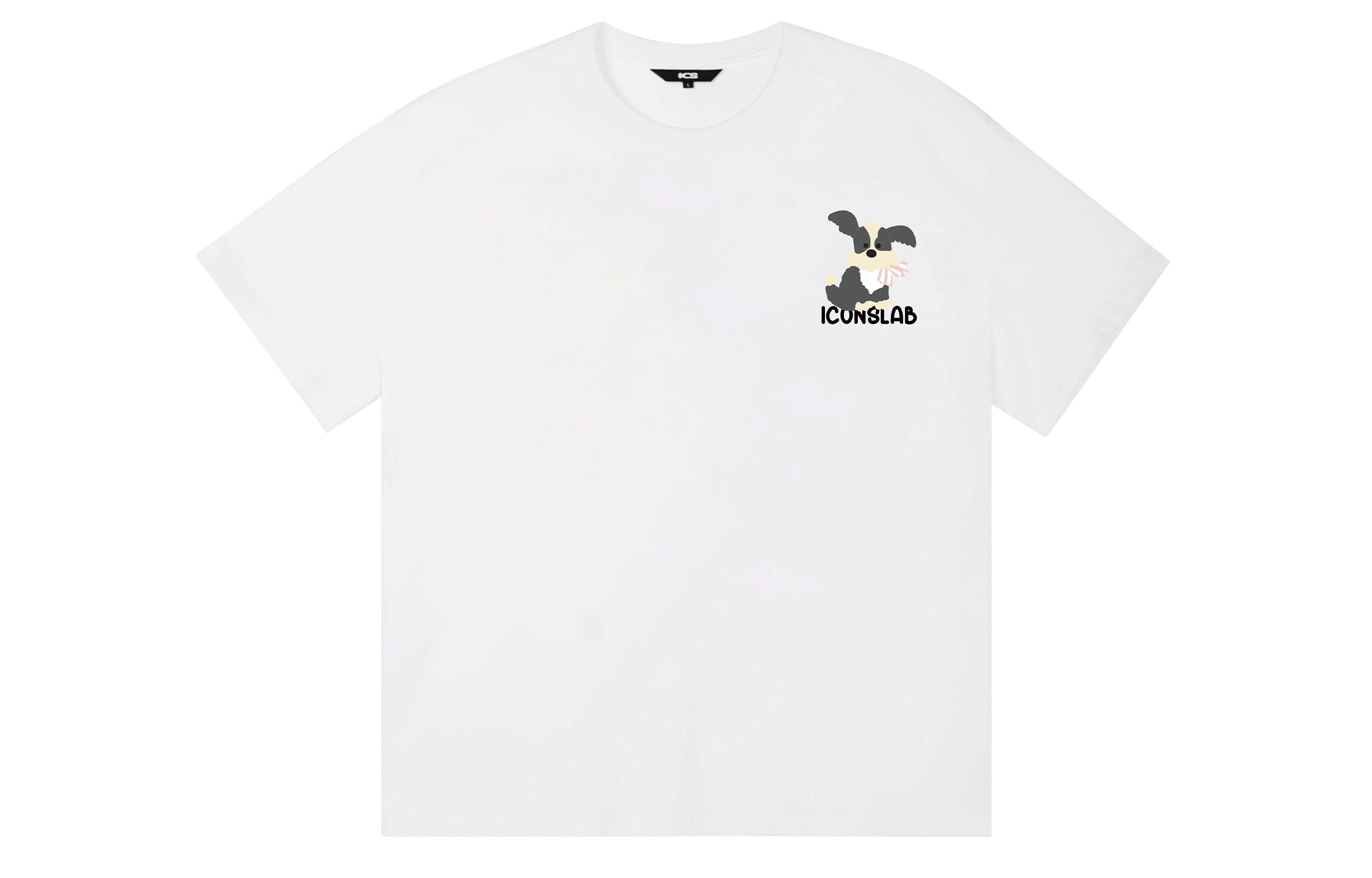 ICONS Lab ICS T