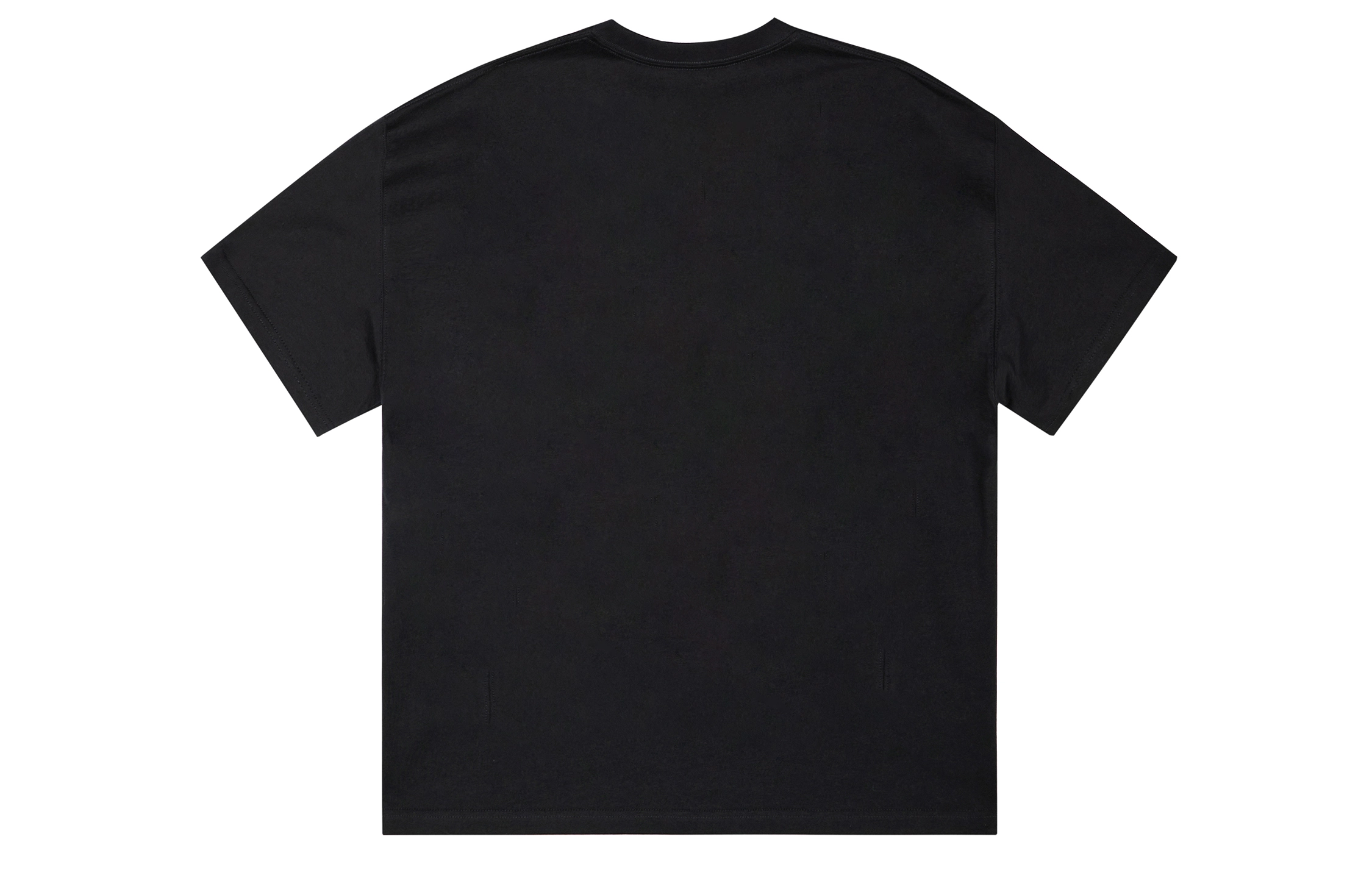 ICONS Lab ICS T
