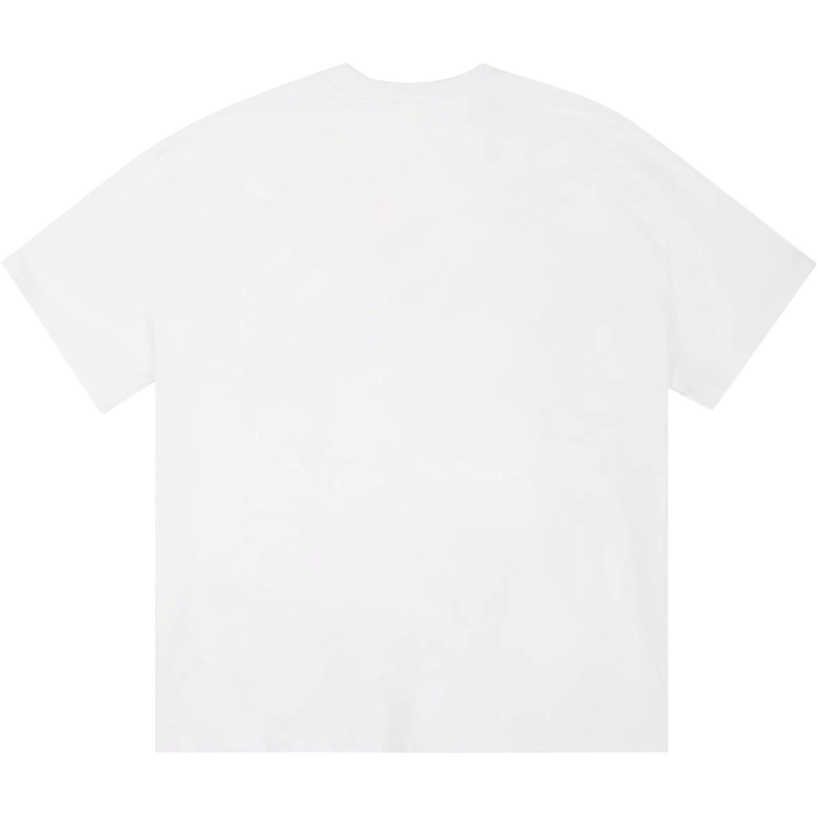 ICONS Lab ICS T