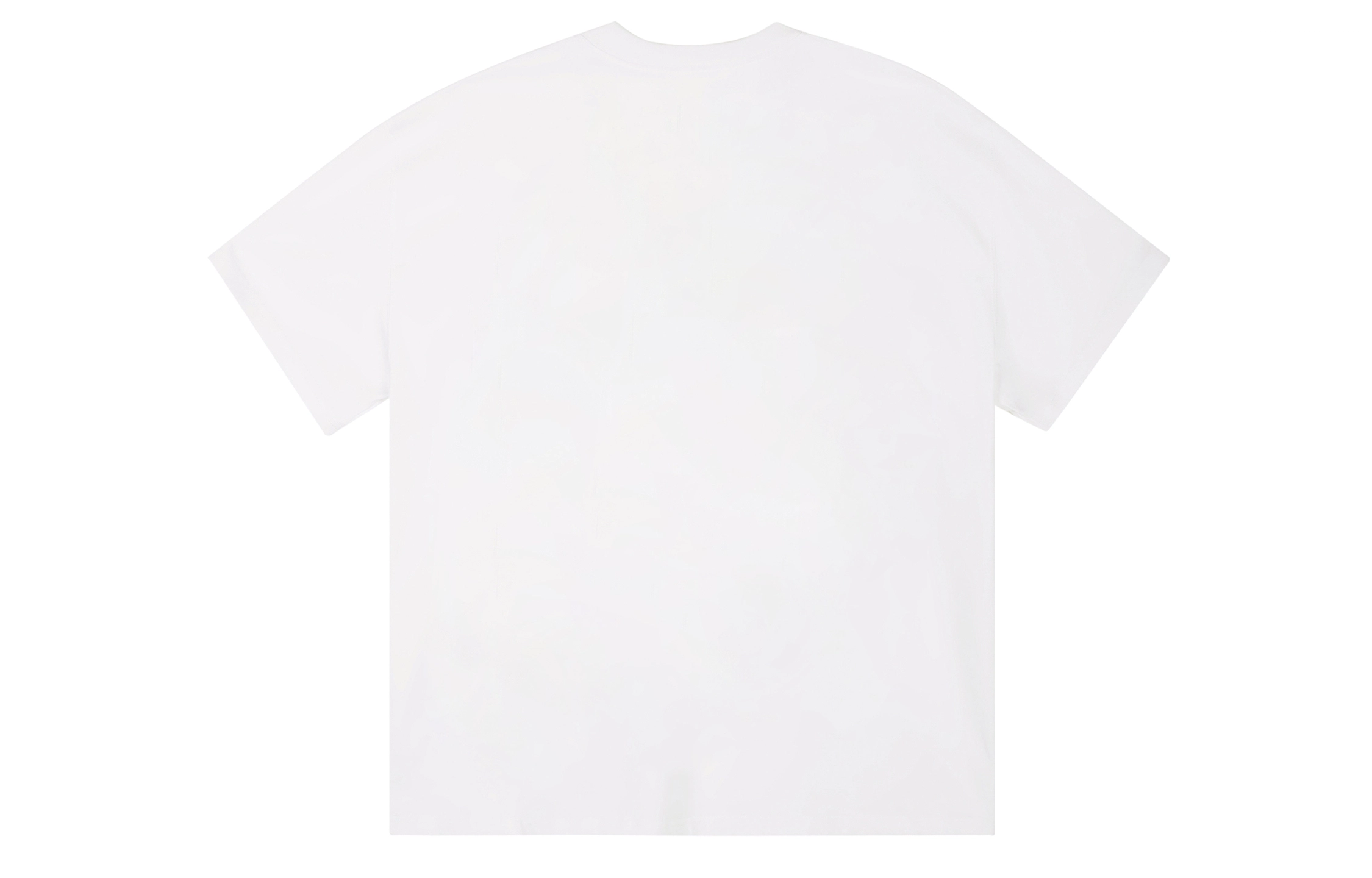 ICONS Lab ICS T