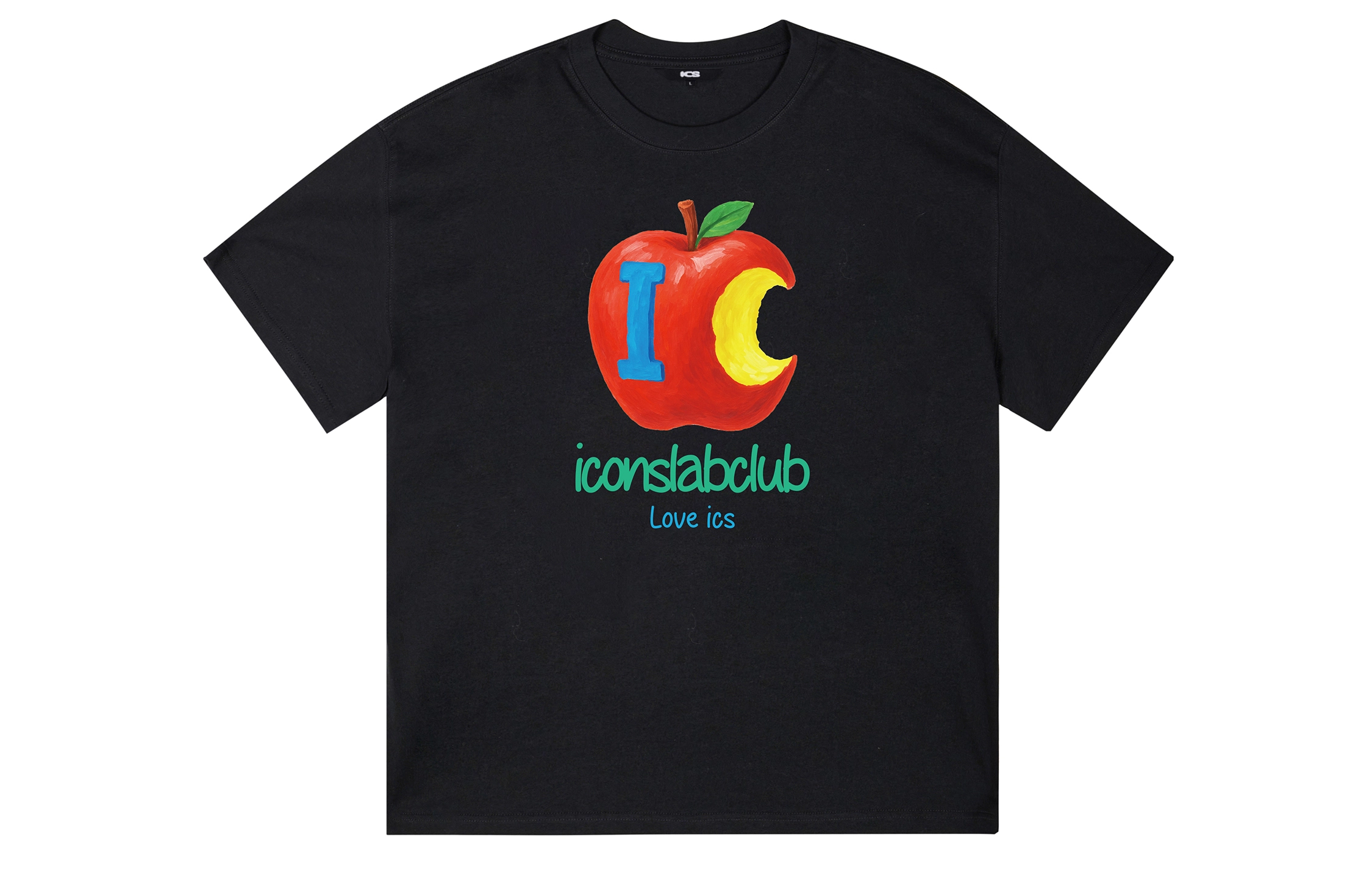 ICONS Lab ICS T