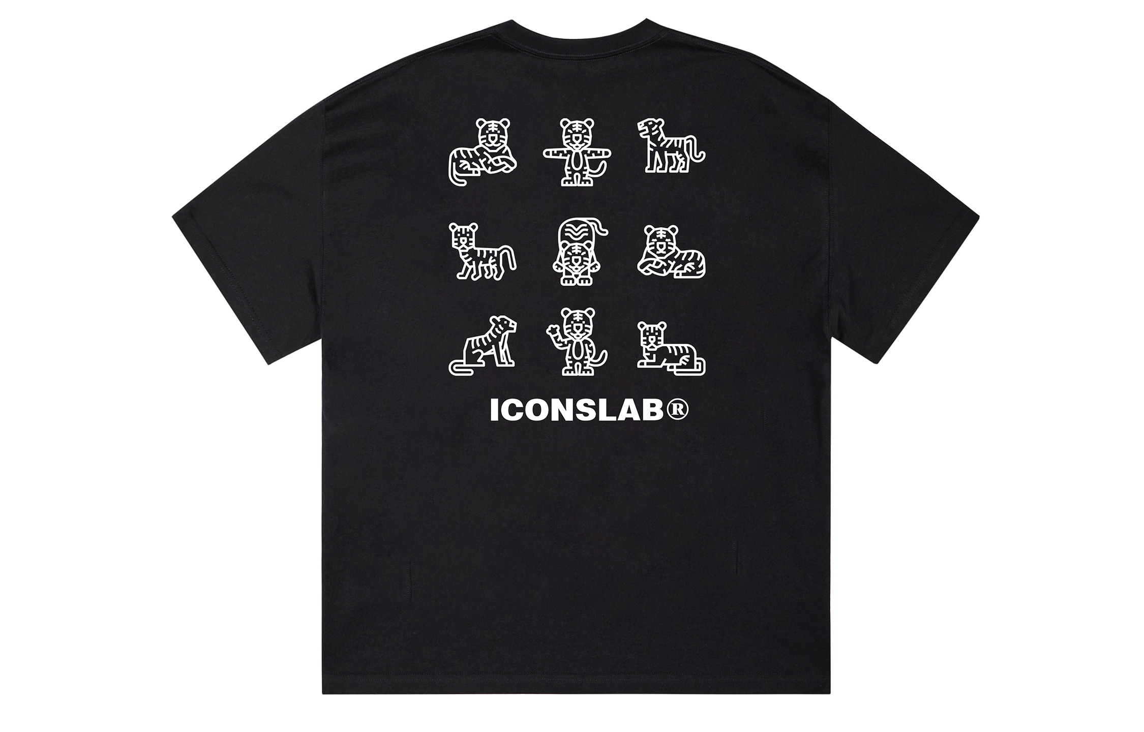 ICONS Lab ICS T