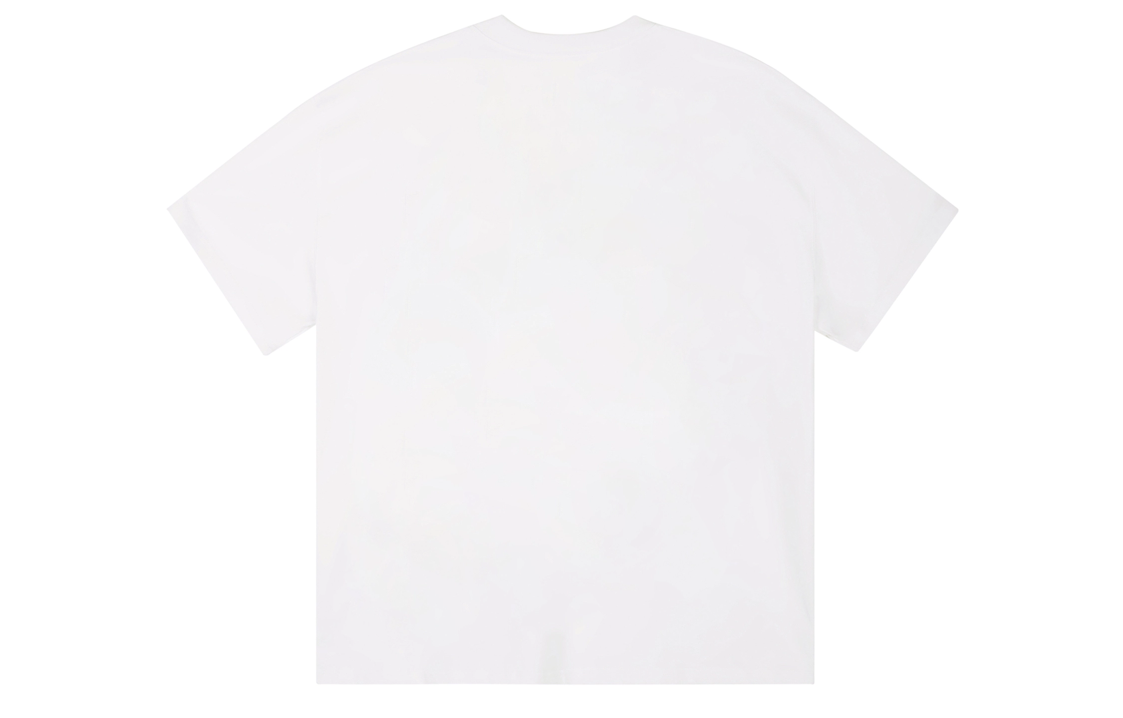 ICONS Lab ICS T