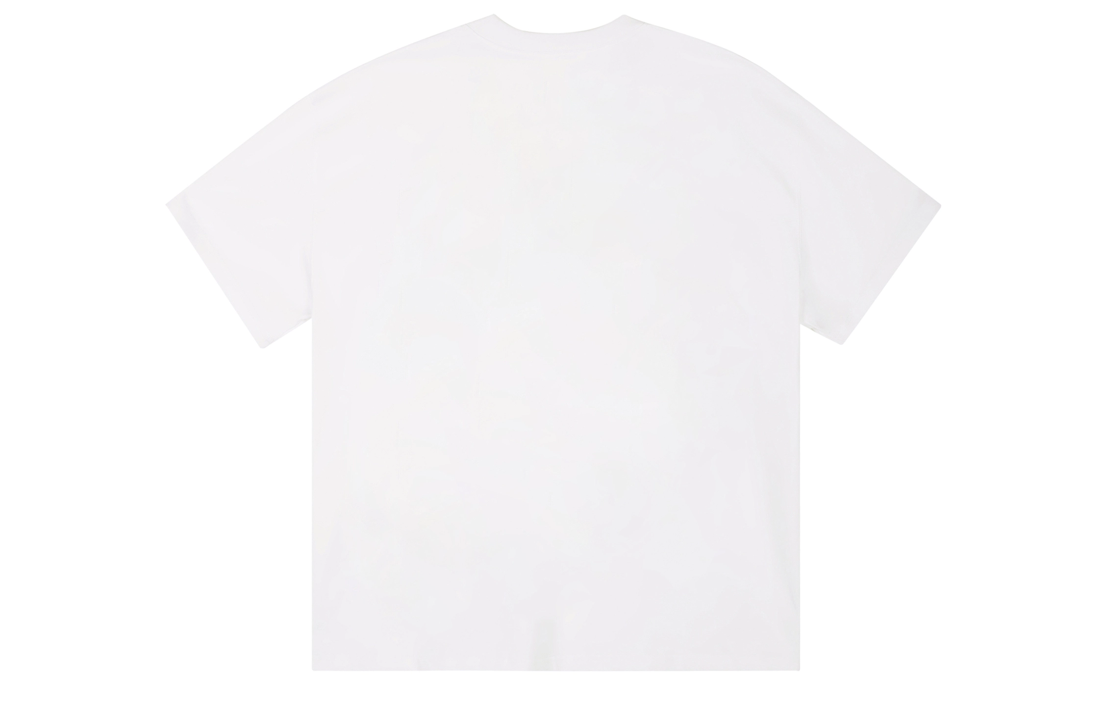 ICONS Lab ICS T