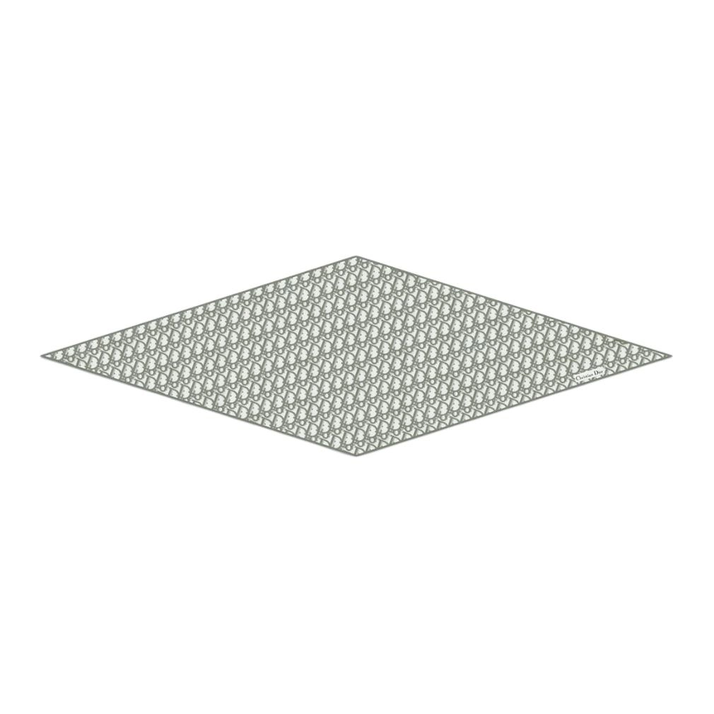 DIOR Oblique