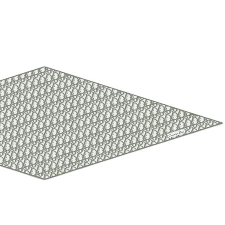 DIOR Oblique