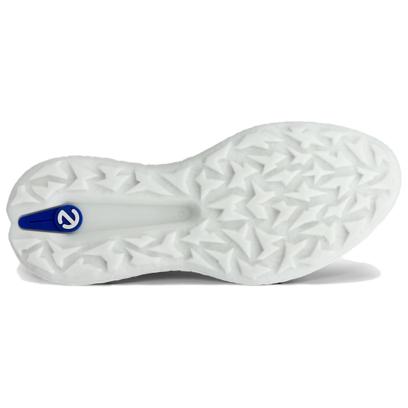 ecco GOLF BIOM H5