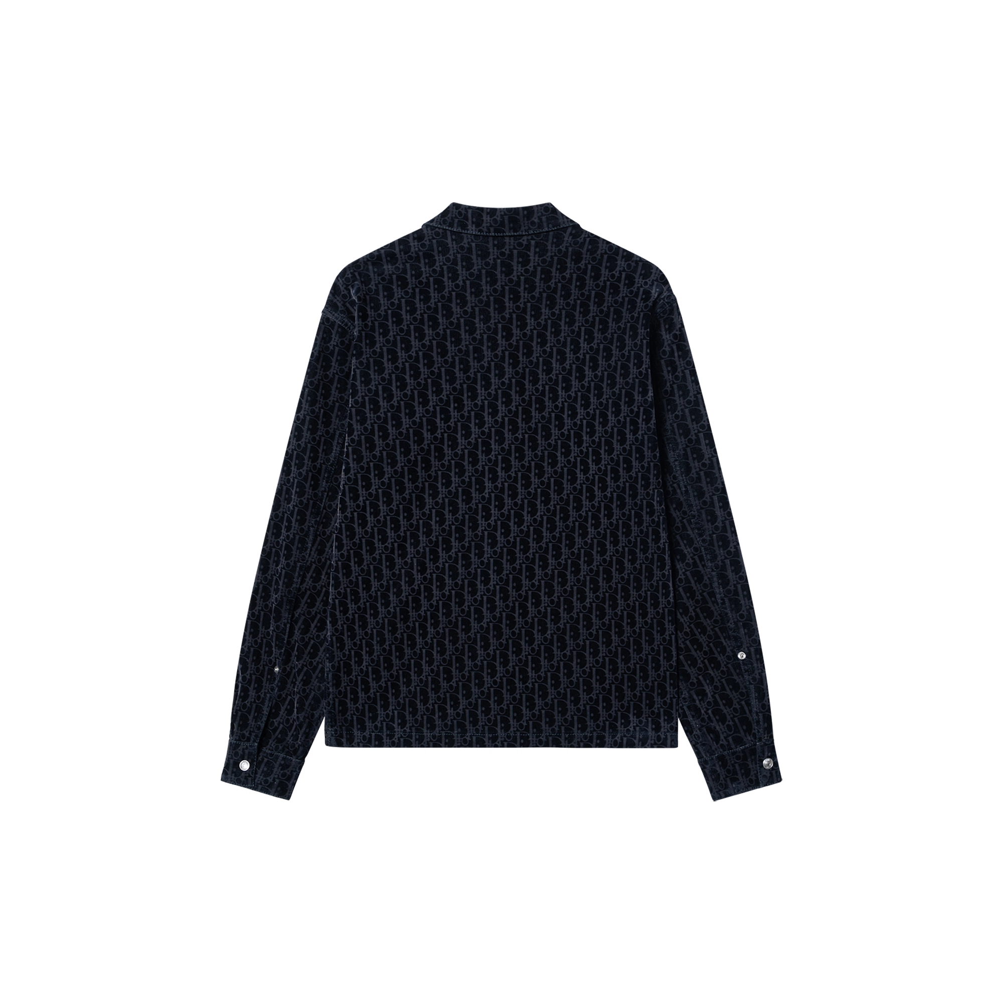 DIOR FW22 Logo
