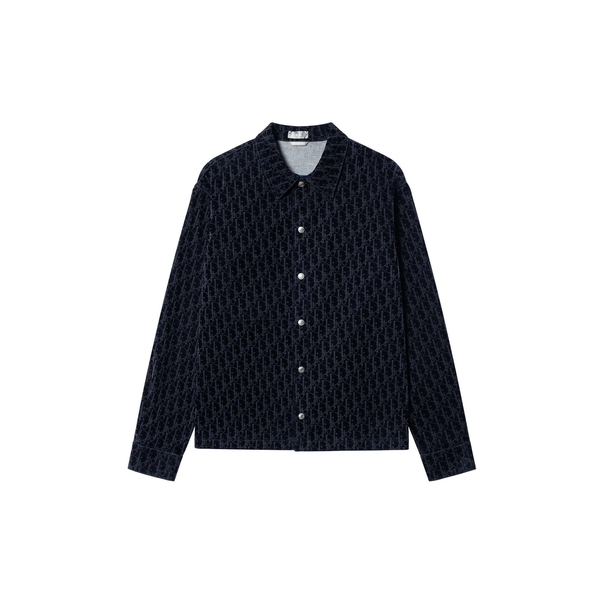DIOR FW22 Logo