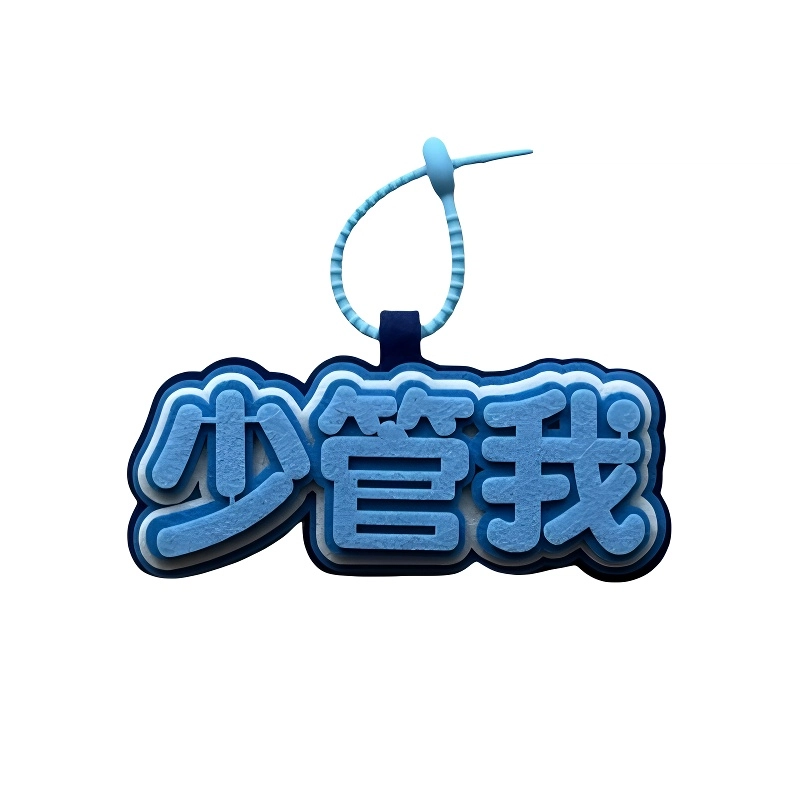 丹琴 我补药上学创意搞怪包包字牌挂饰搞笑发疯文学系列书包背包 毛毡 挂件 男女同款情侣款