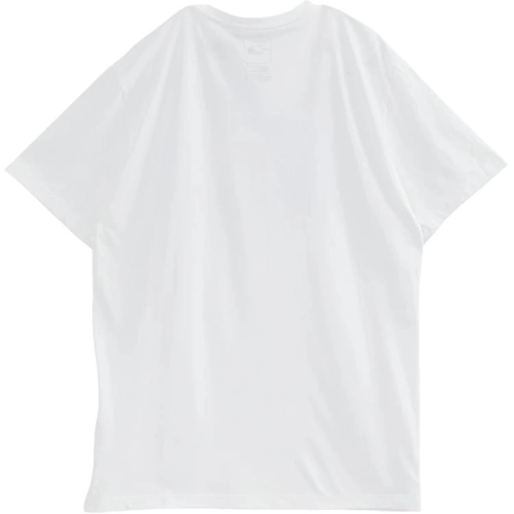 THE NORTH FACE SS23 LogoT