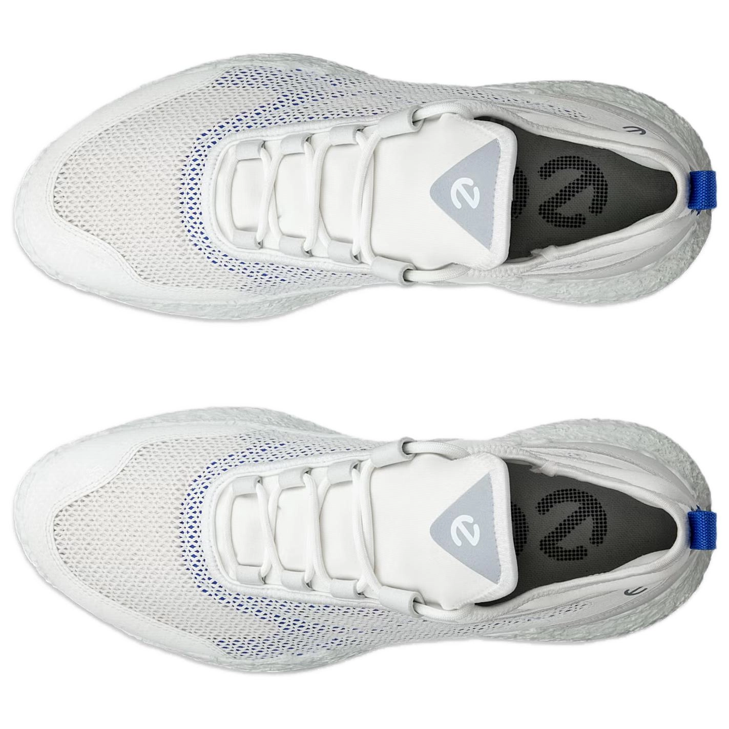 ecco GOLF BIOM H5