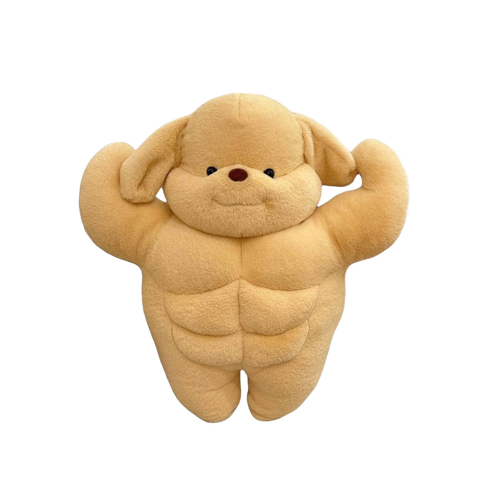 Brangdy 35cm50cm