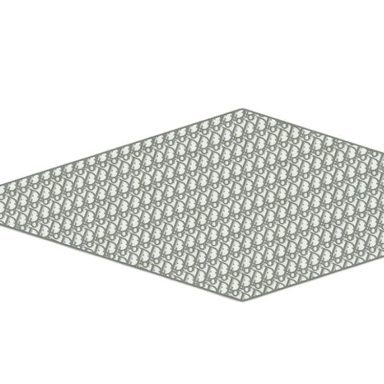 DIOR Oblique