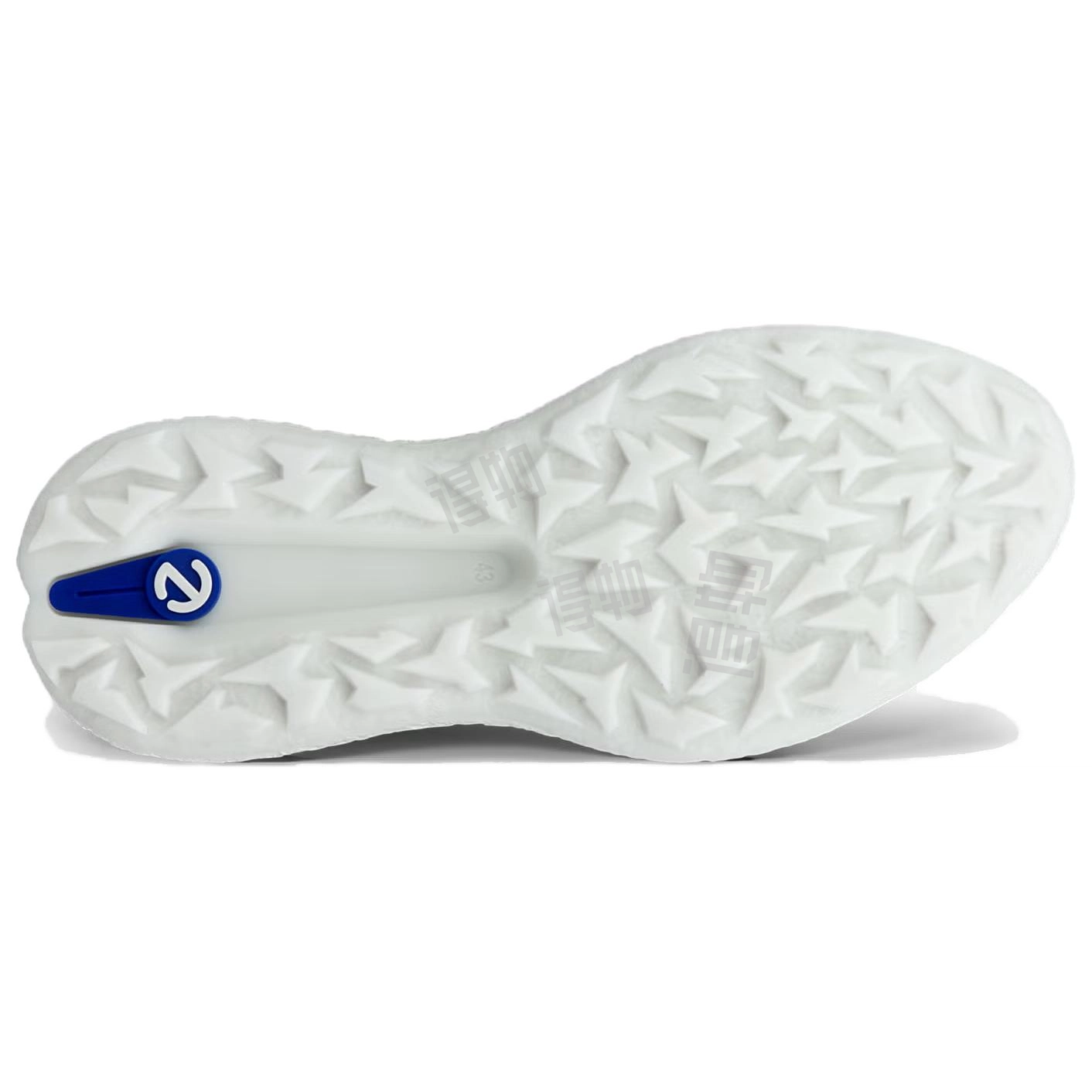 ecco GOLF BIOM H5