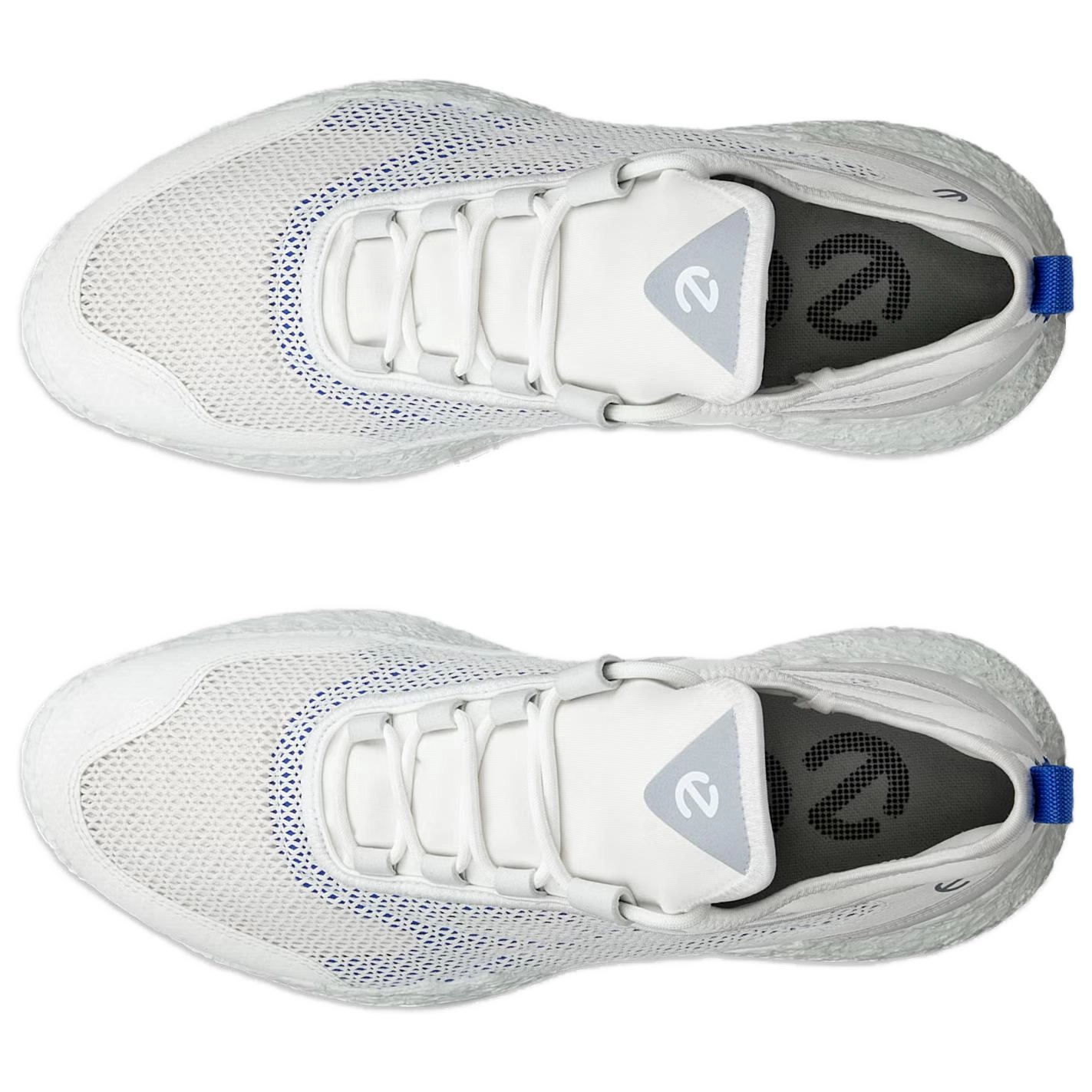 ecco GOLF BIOM H5