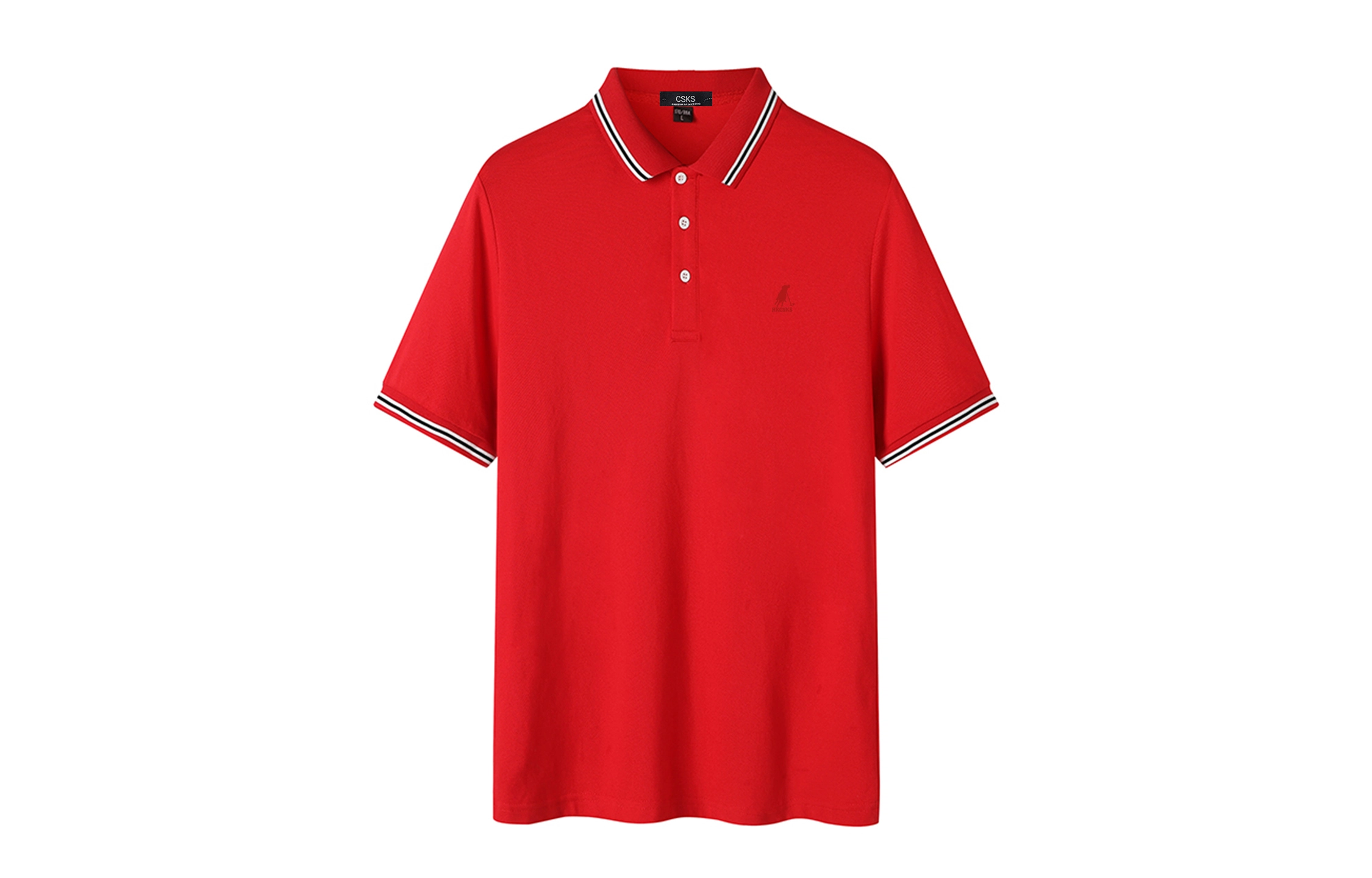 CSKS LogoPoloPolo