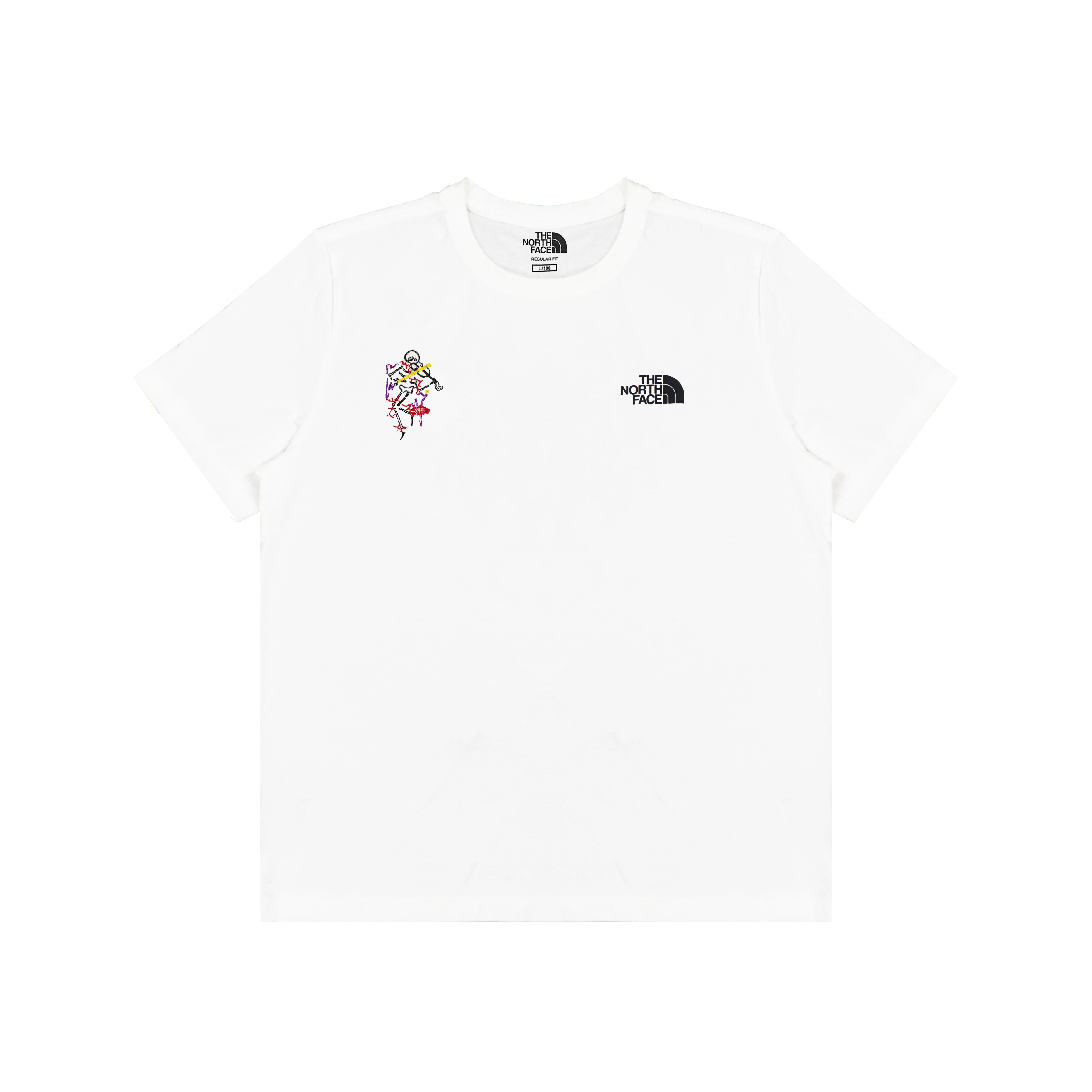 THE NORTH FACE logo T