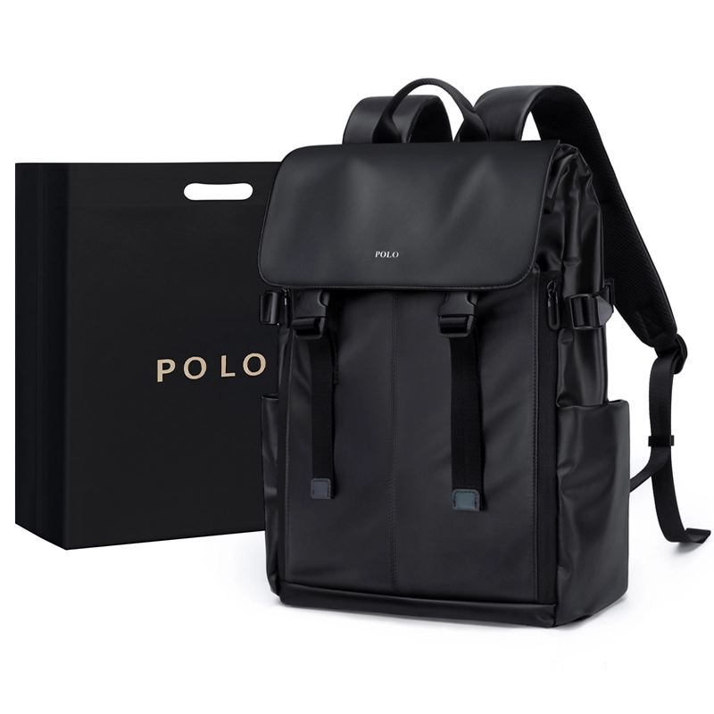 POLO 17.3