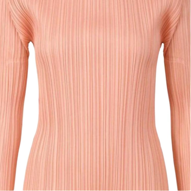 PLEATS PLEASE ISSEY MIYAKE FW22
