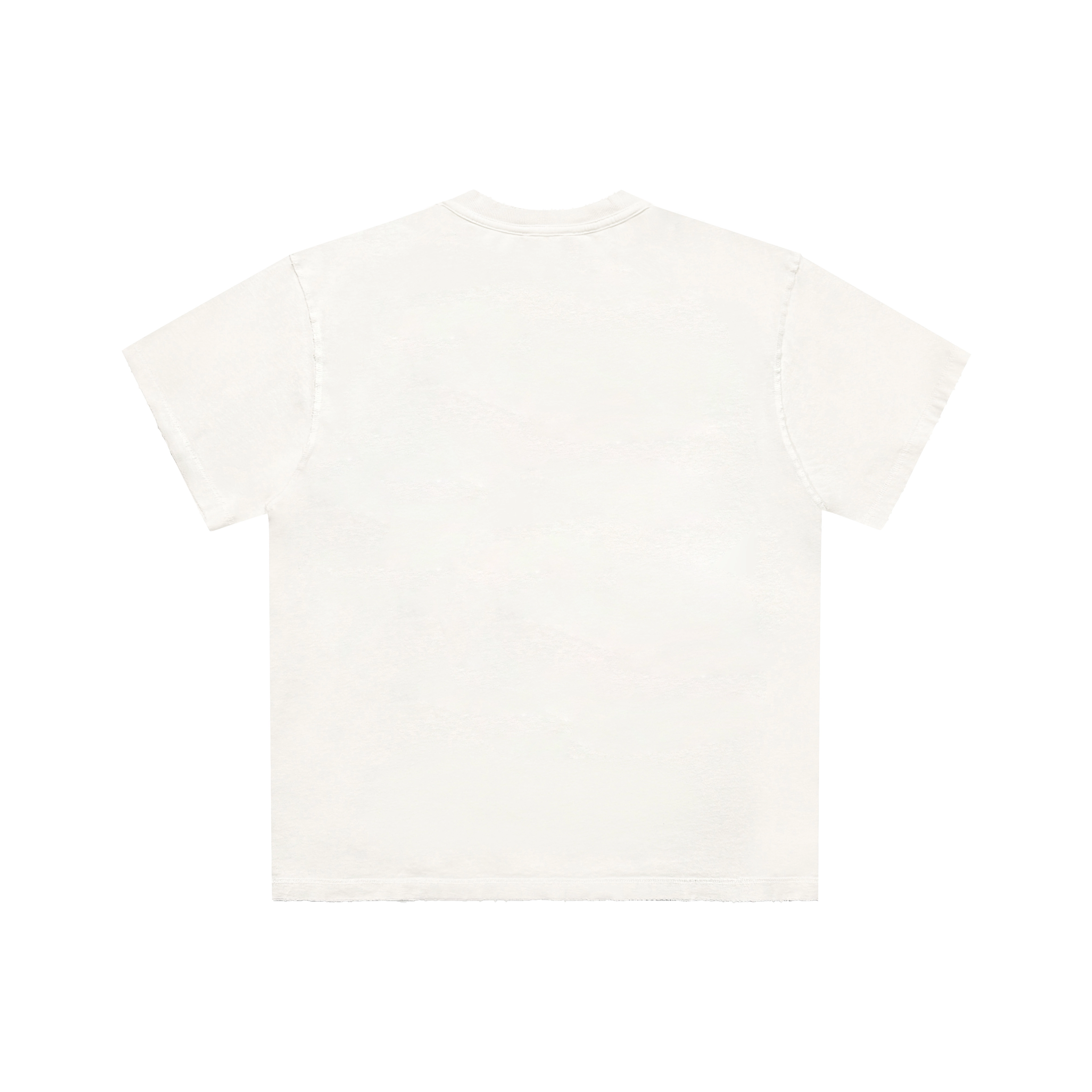 False Perception T