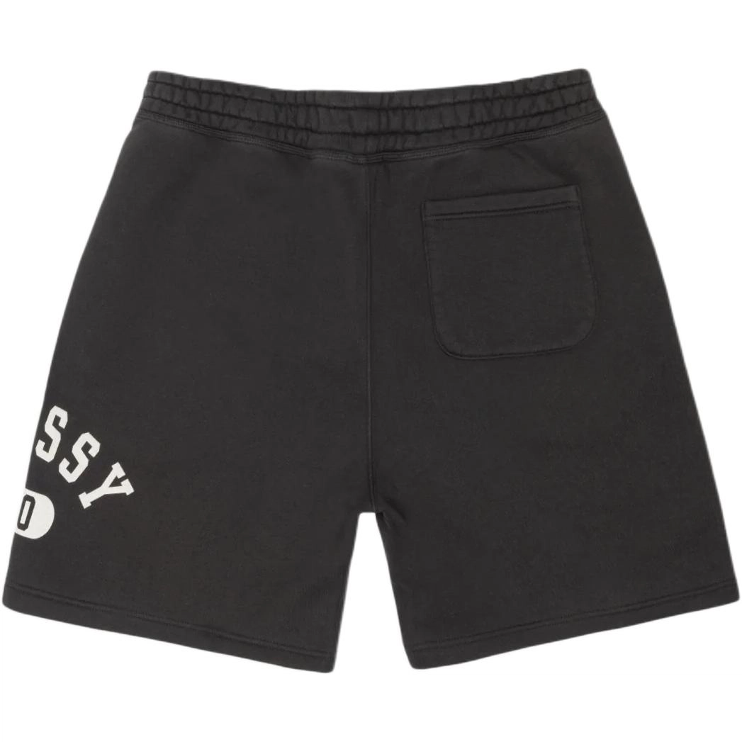 Stussy SS25 VARSITY FLEECE SHORT logo